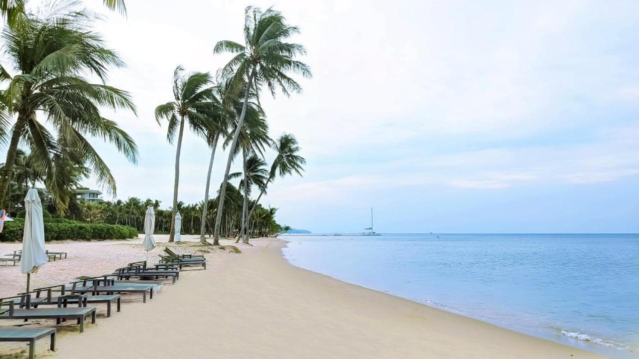 Anna Beach Phú Quốc photo 3