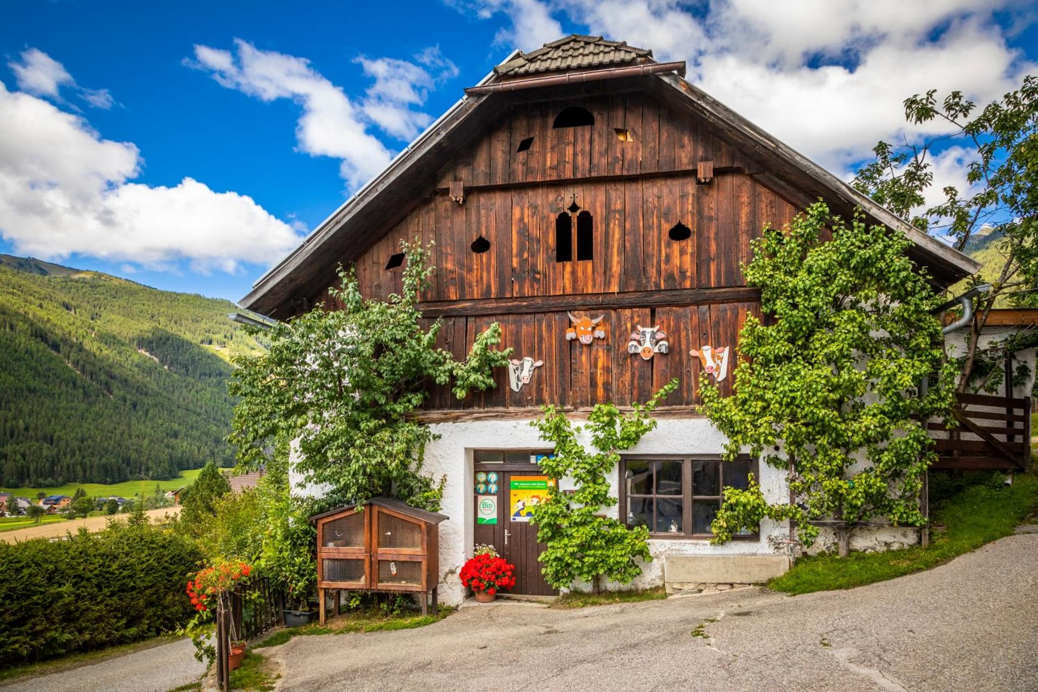 Ferienhaus Sonnenseite photo 2