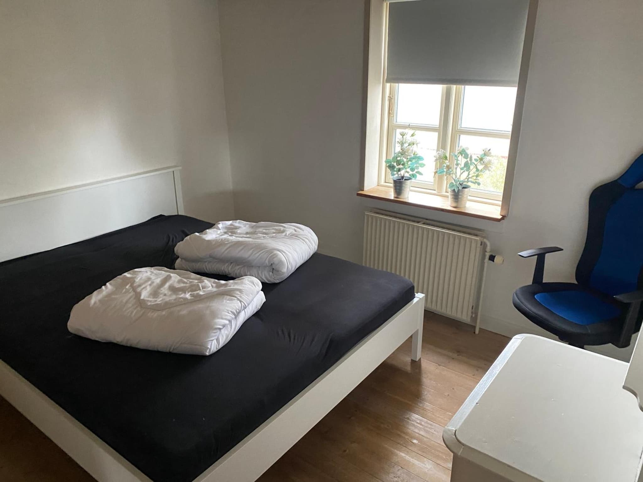Hus ved Svendborg