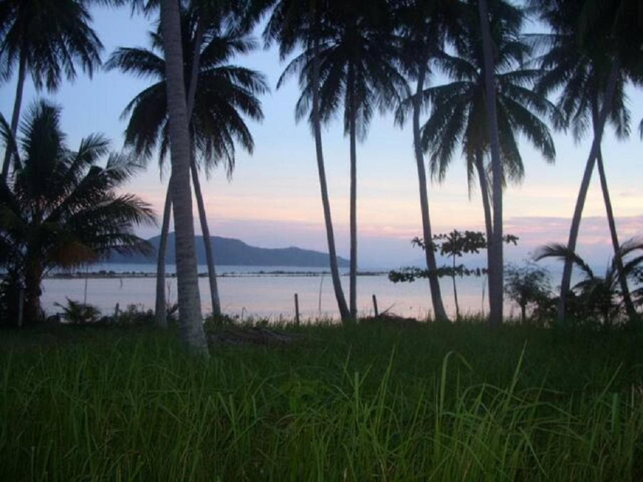 The Beach Samui photo 8