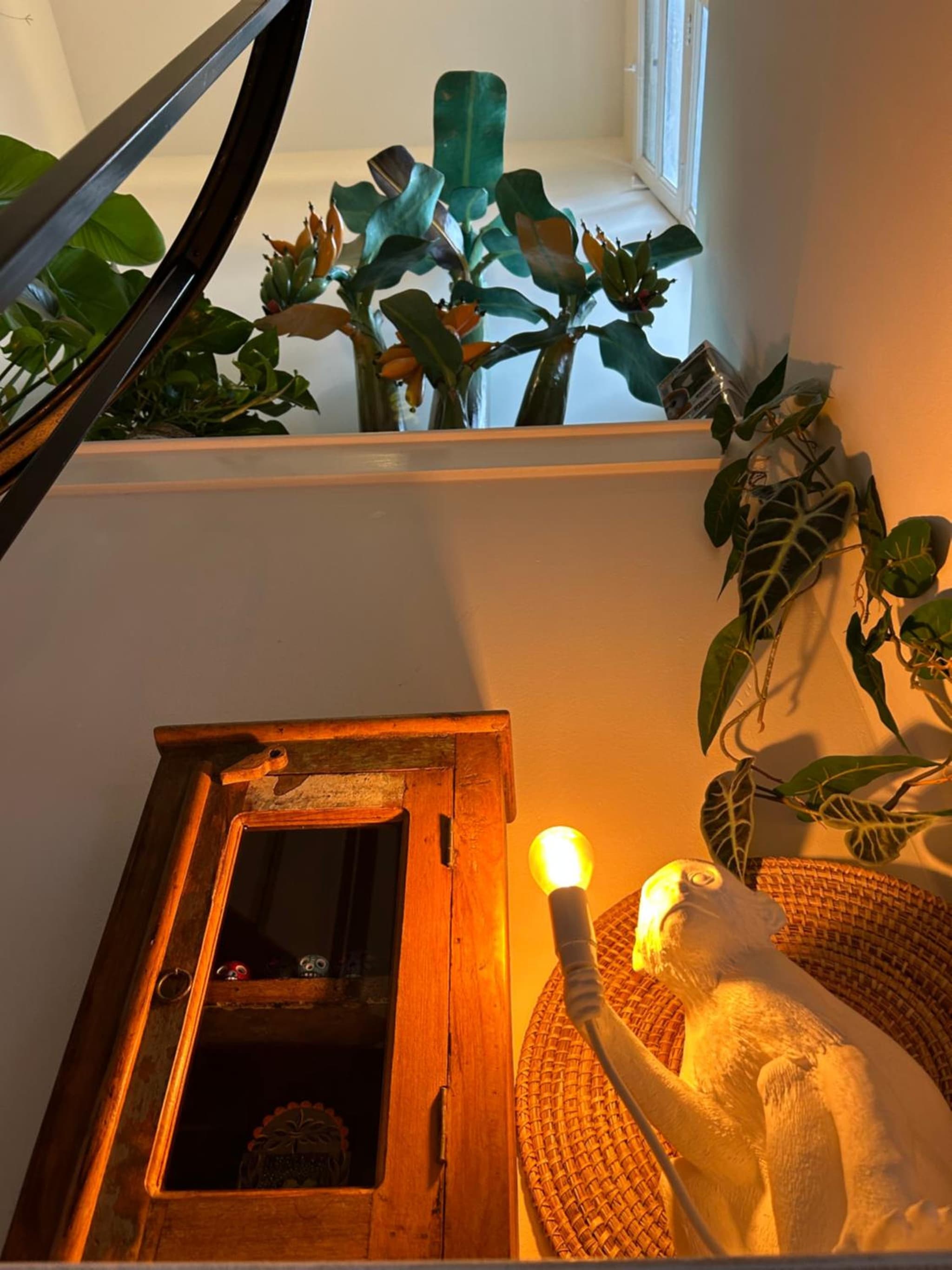 Monkey Tree Stay photo 3