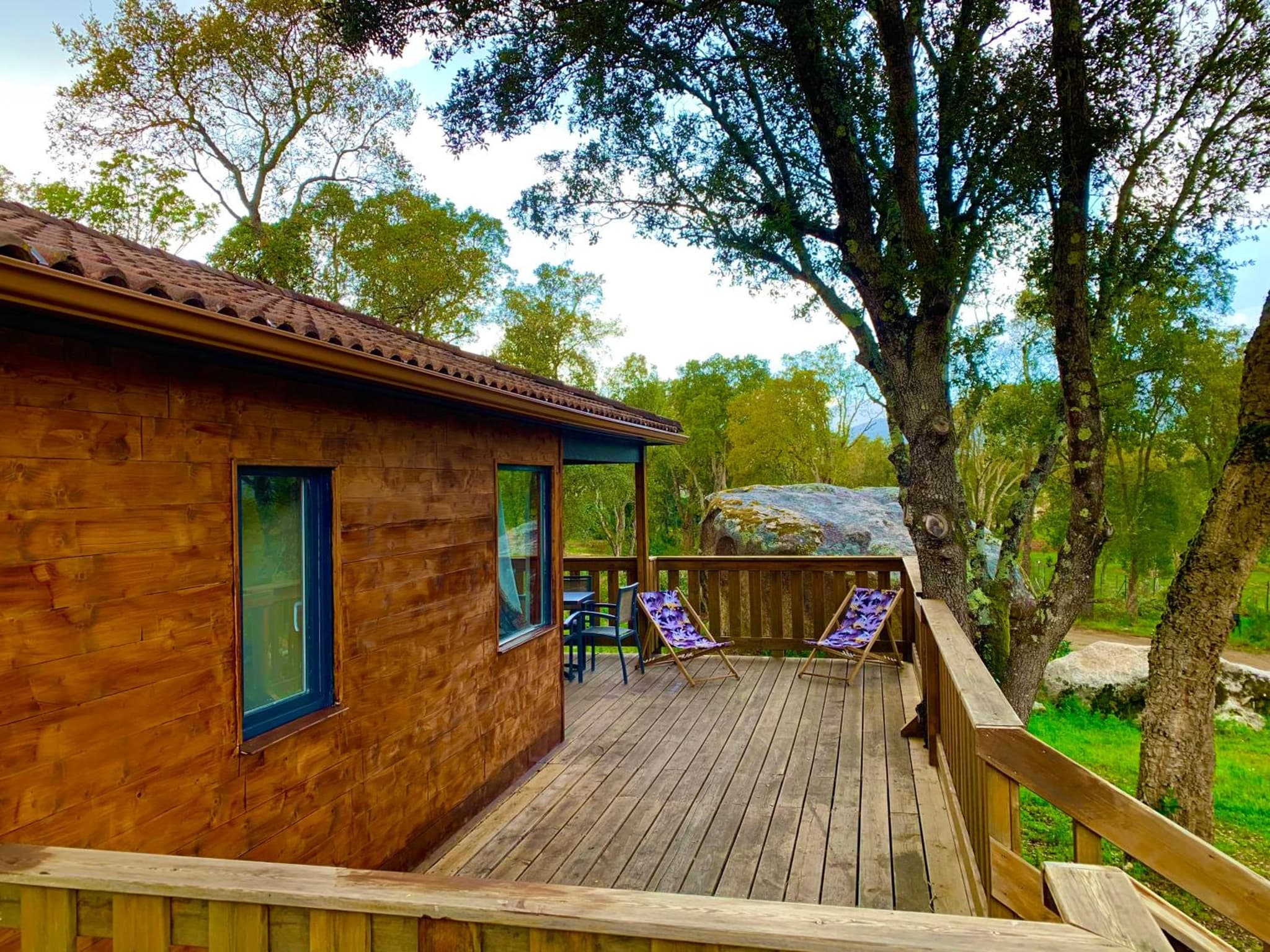 L'Aravone Lodge photo 4