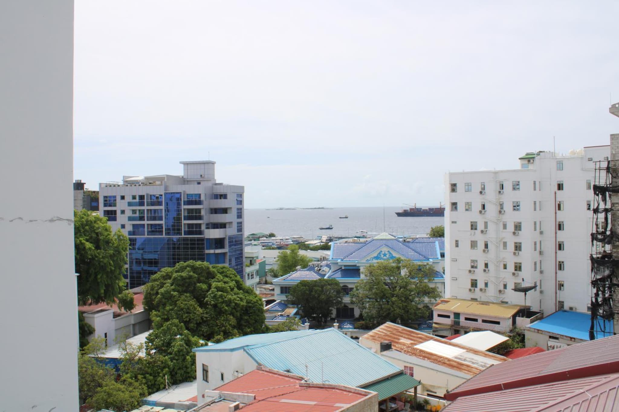 Beehive Central photo 7