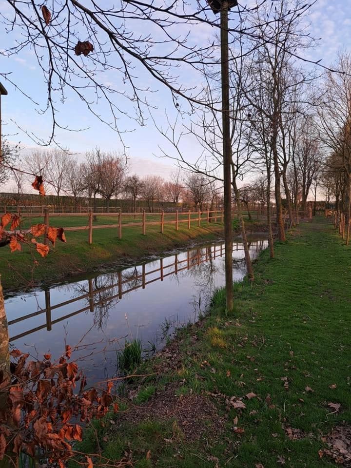 Domein Den Buiten Bed And Breakfast DnD photo 6