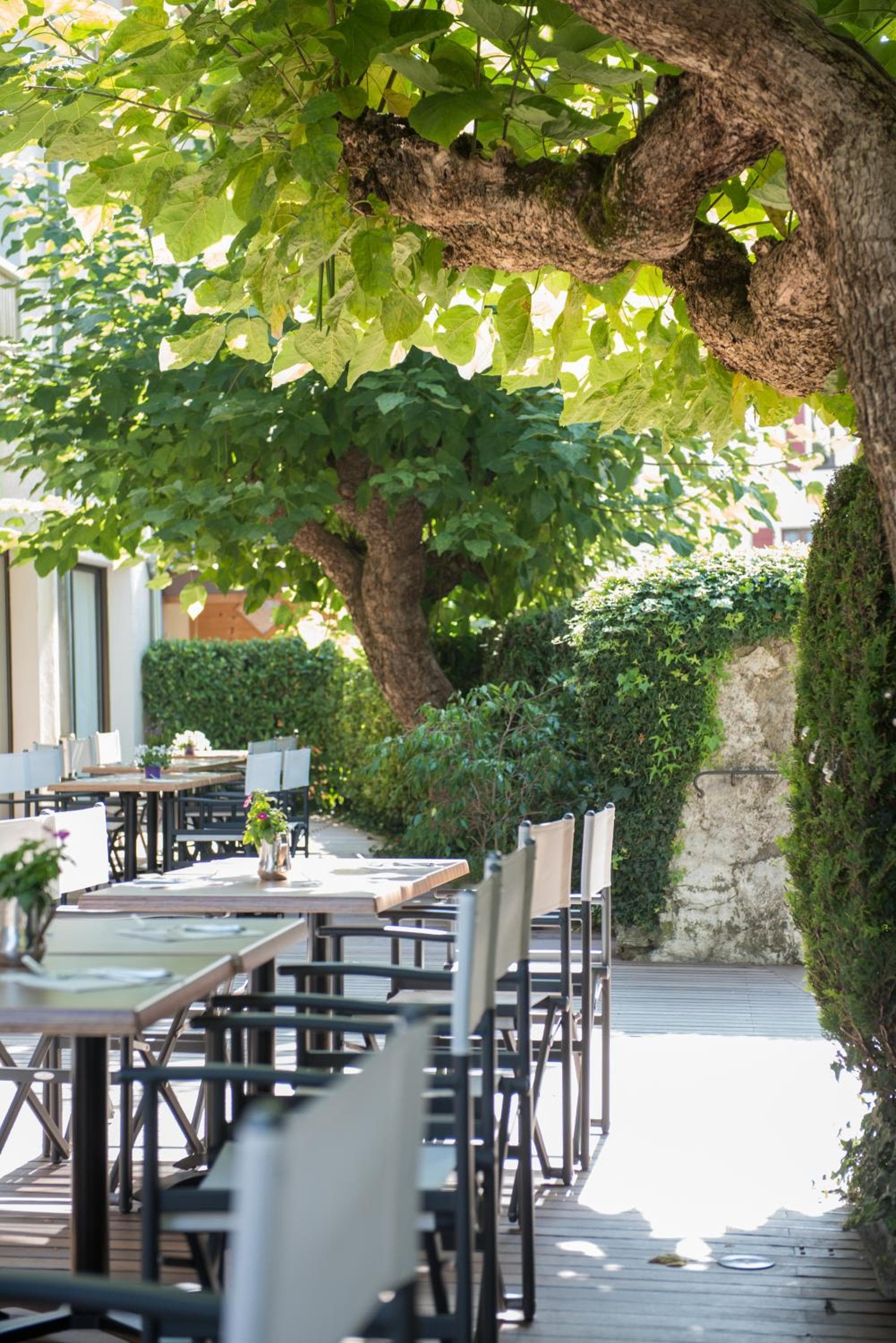 Hôtel Catalpa photo 7