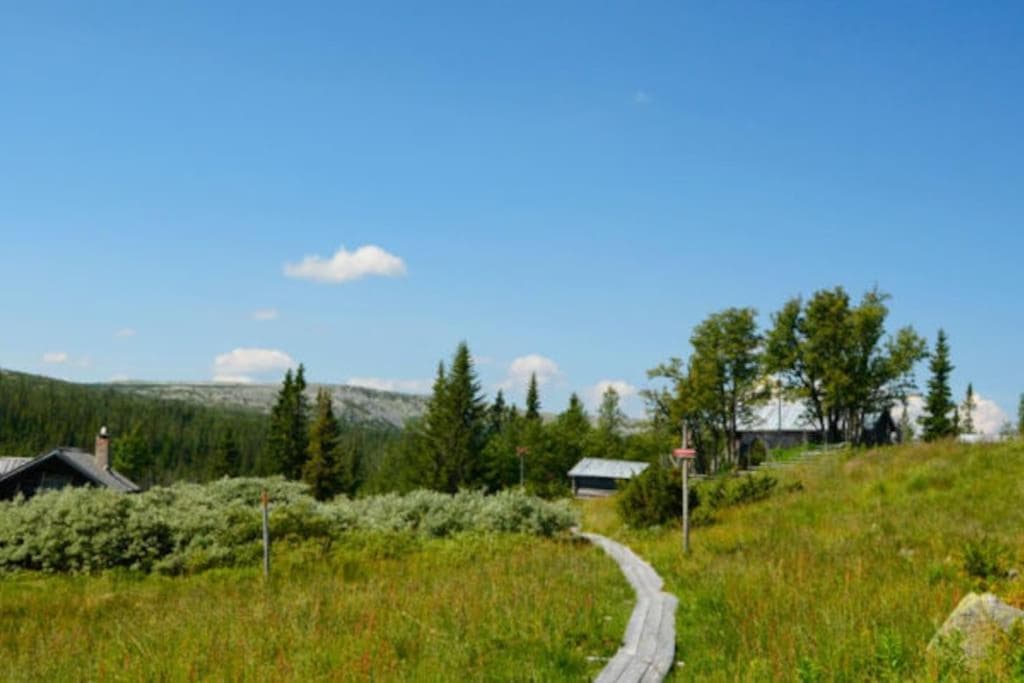 Björnrike Vemdalen. Mitt i backen photo 7
