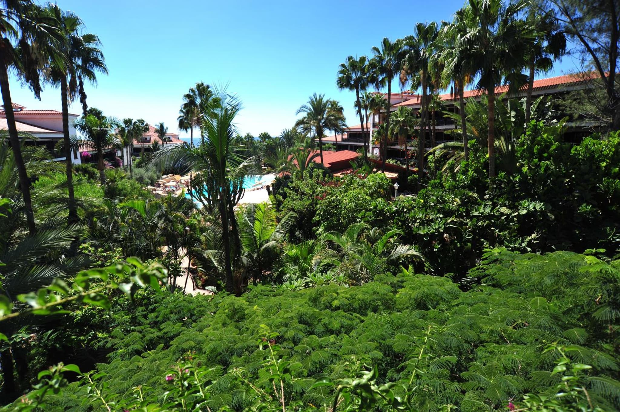 Hotel Parque Tropical photo 7