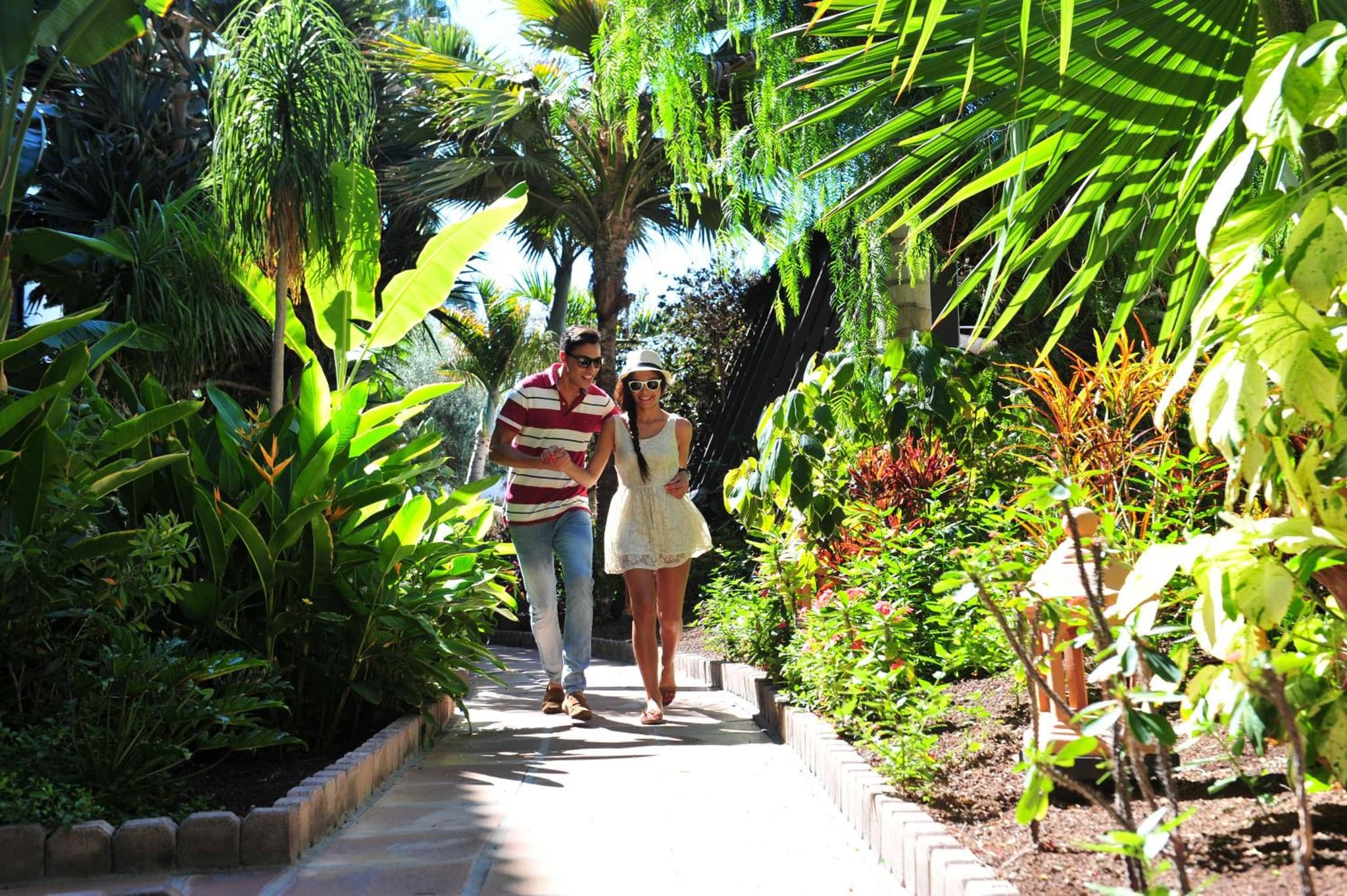 Hotel Parque Tropical photo 2