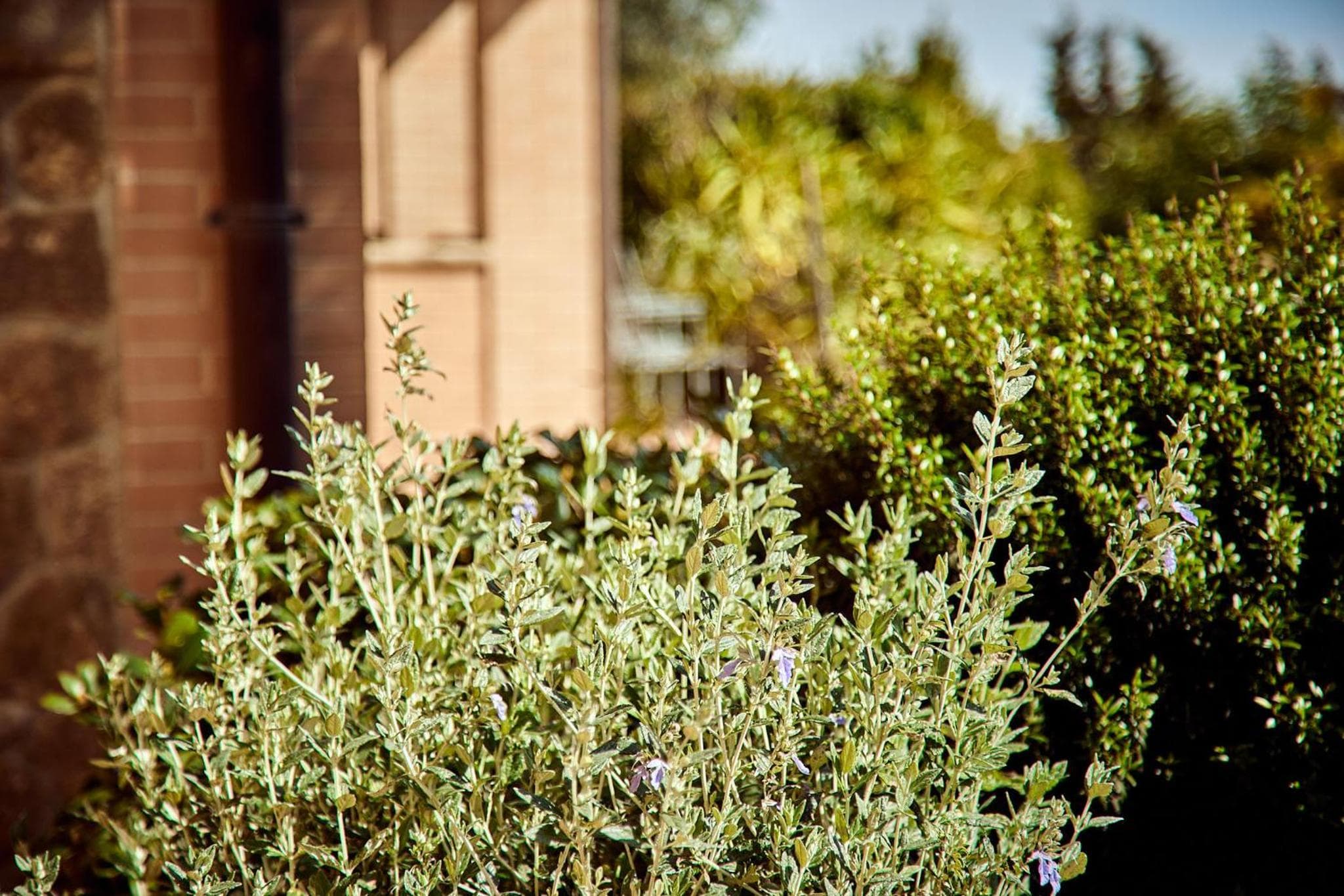 Piccolo Hotel La Valle photo 9