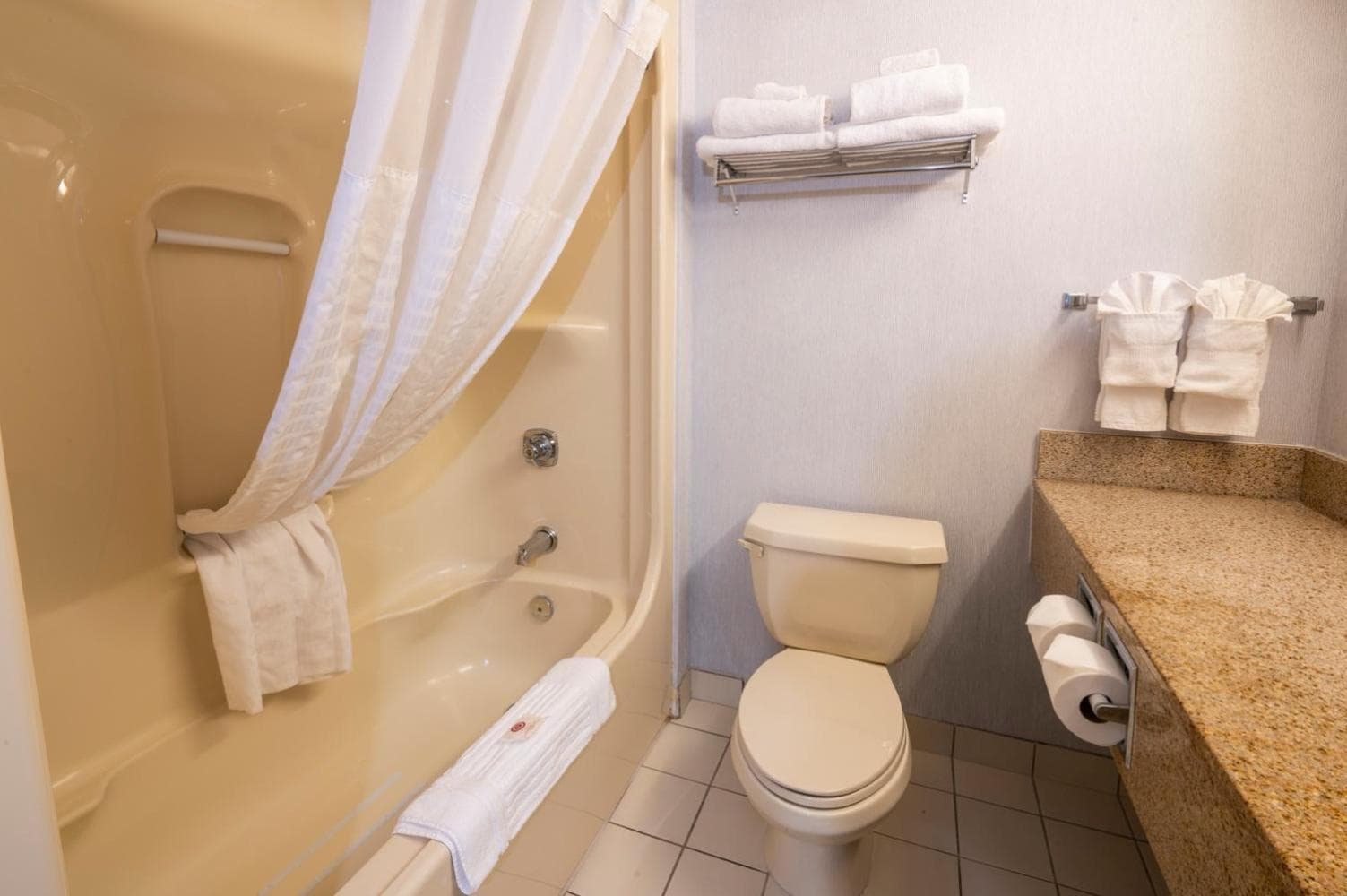Comfort Hotel & Suites photo 9