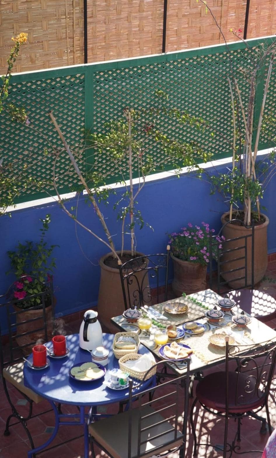 balance & terrace