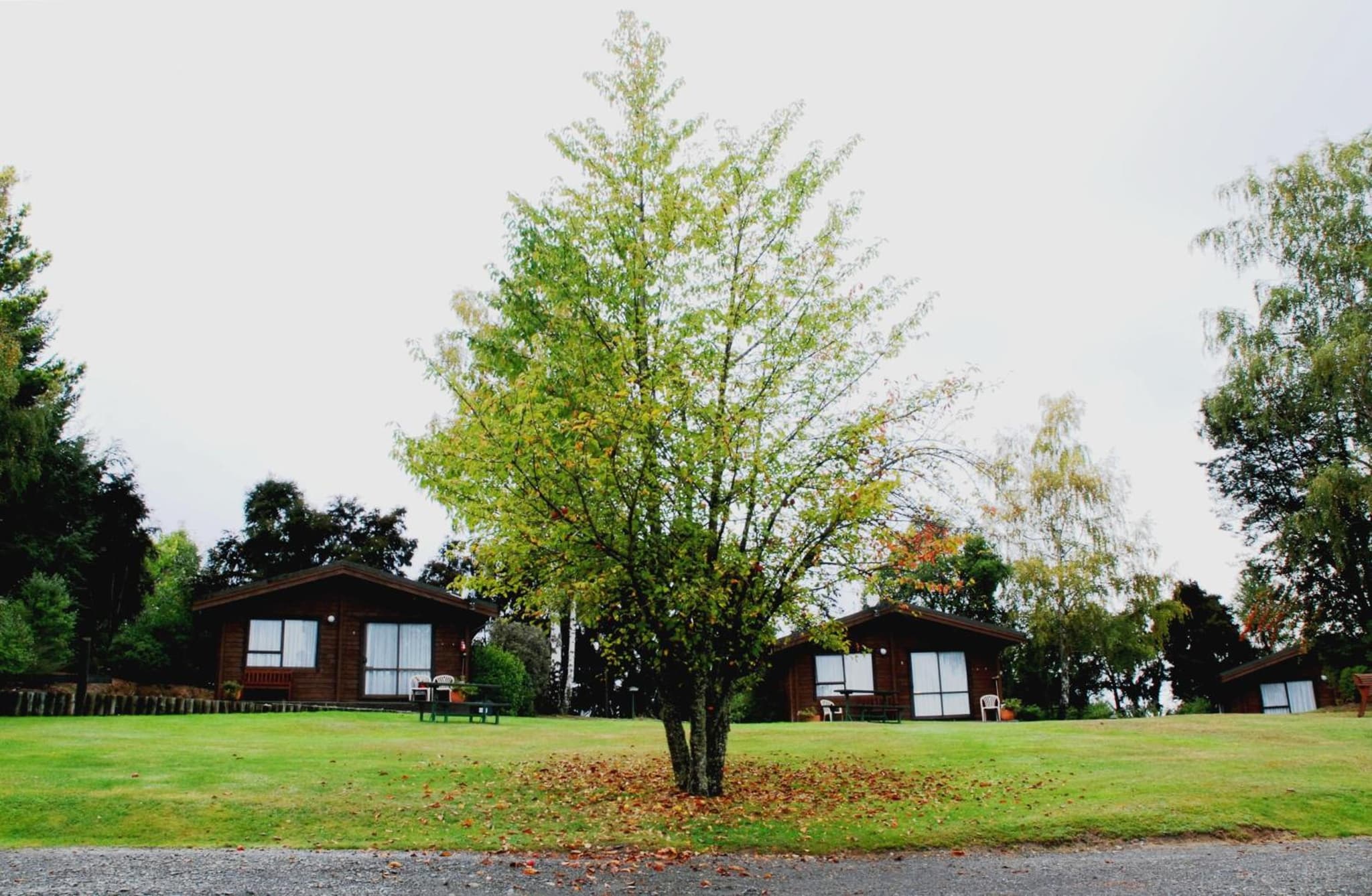 The Chalets Motel photo 3