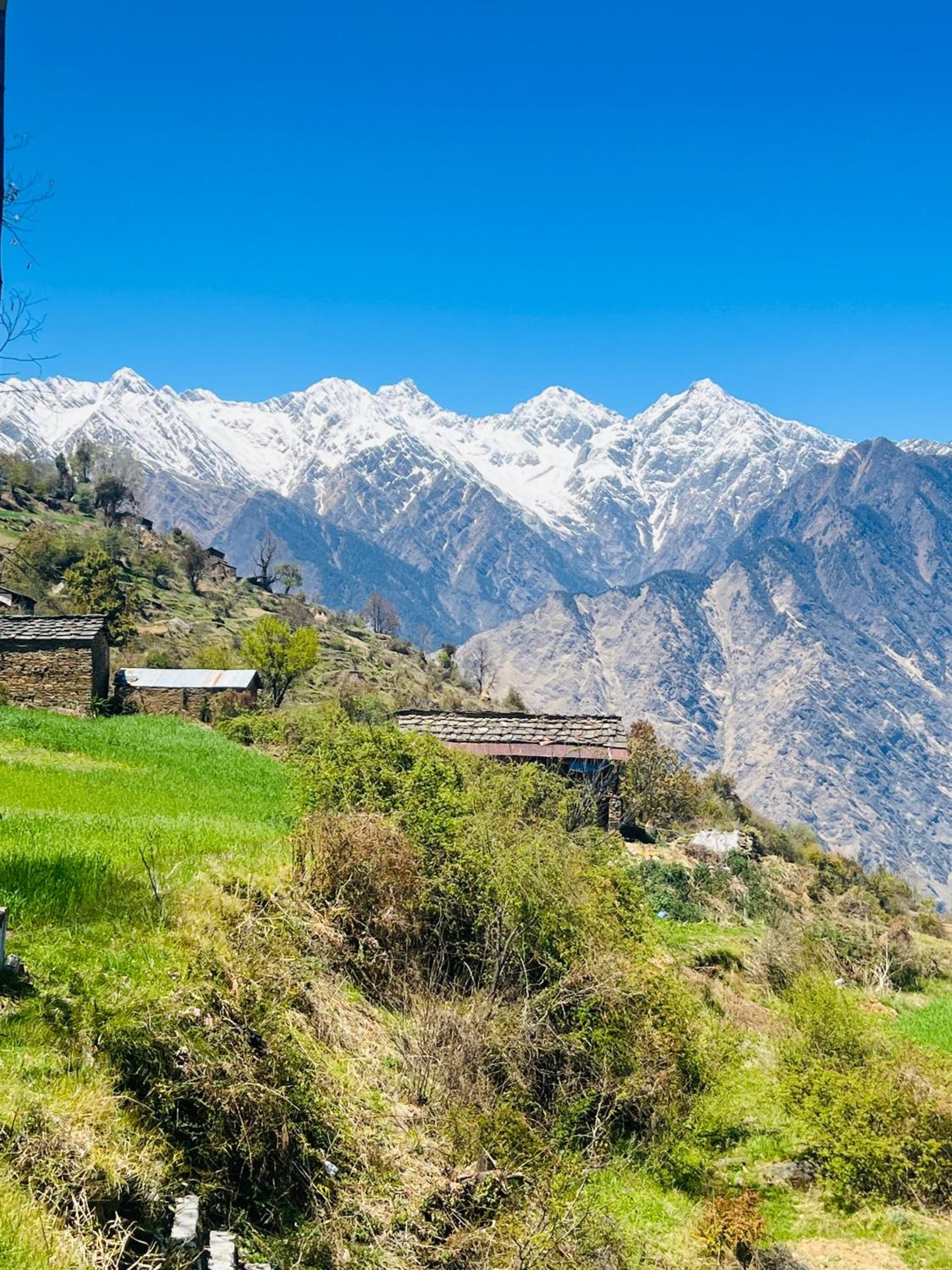 Faraway Cottages, Auli photo 6