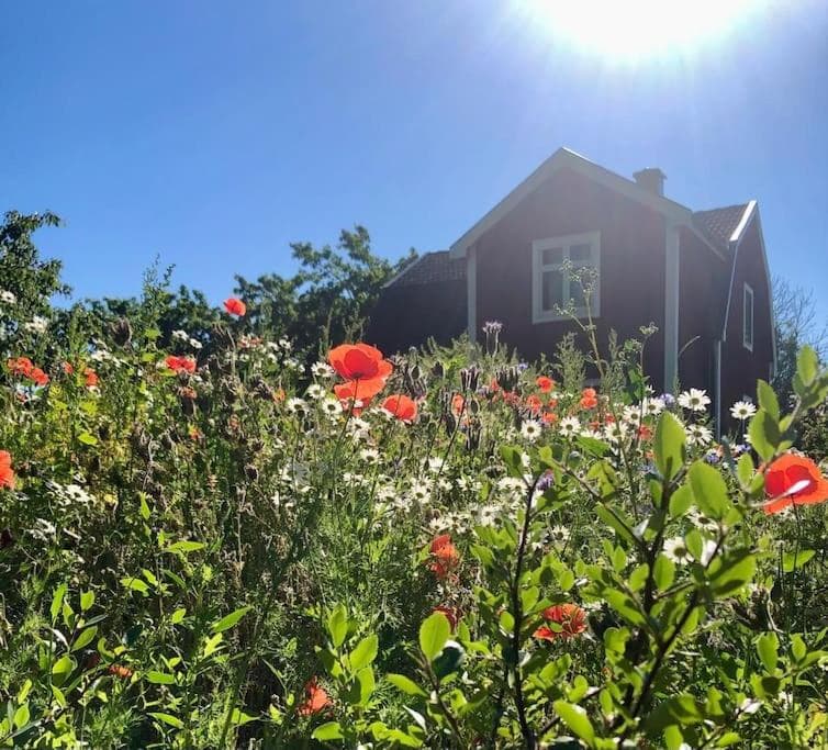Ferienhaus in Borghamn, Vättern