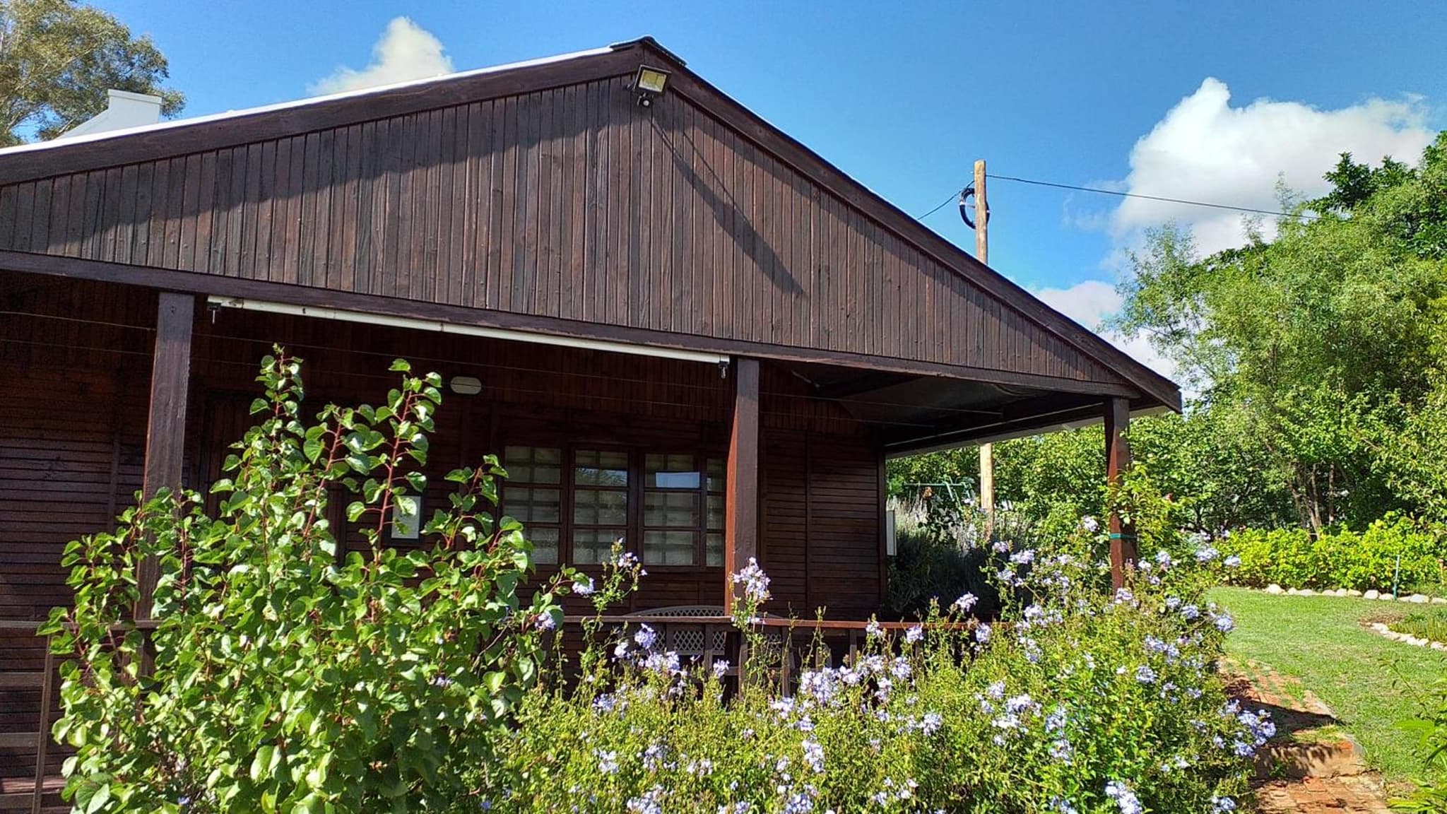 Plum Tree Cottage photo 5