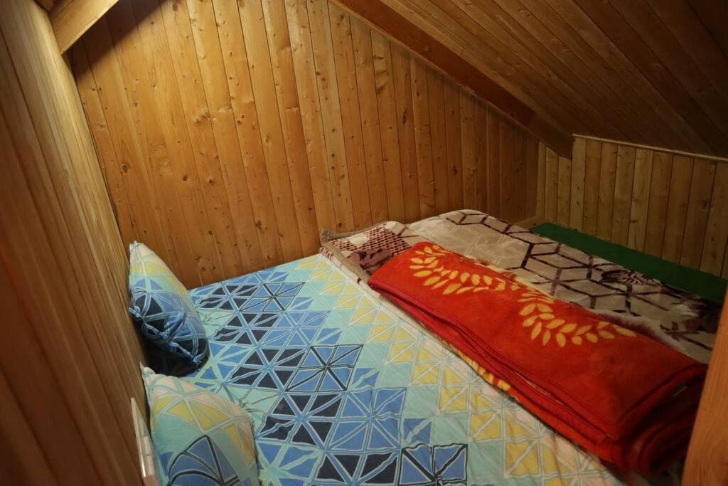 Himalayan Cedar Nest photo 7