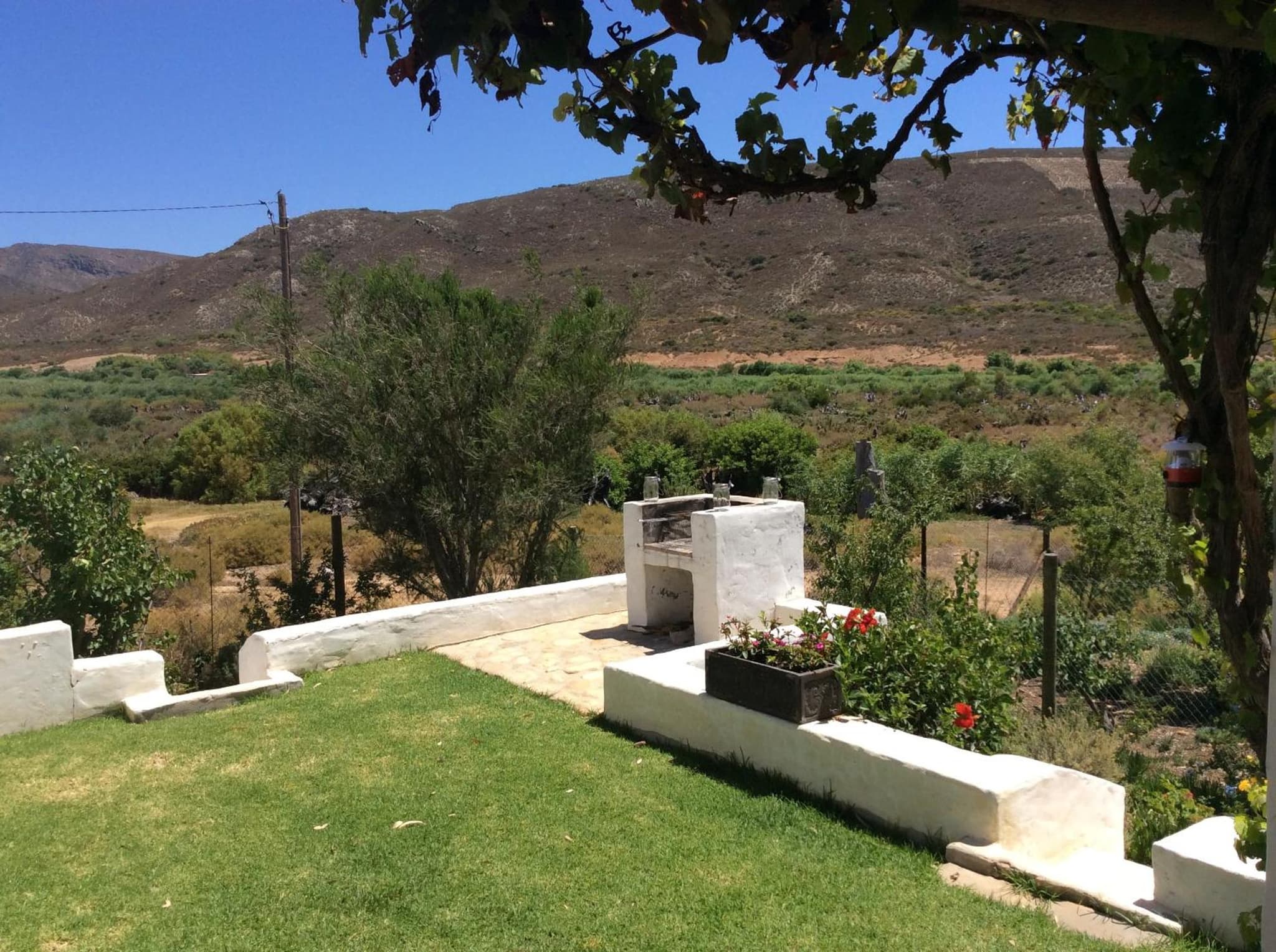 Plum Tree Cottage photo 4