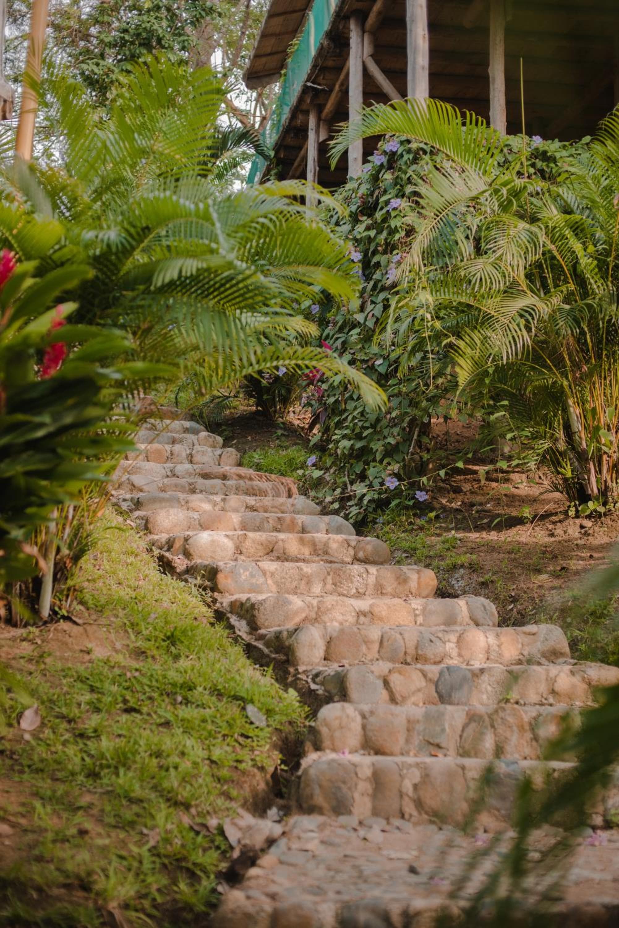 Serrano Tayrona Lodge photo 3