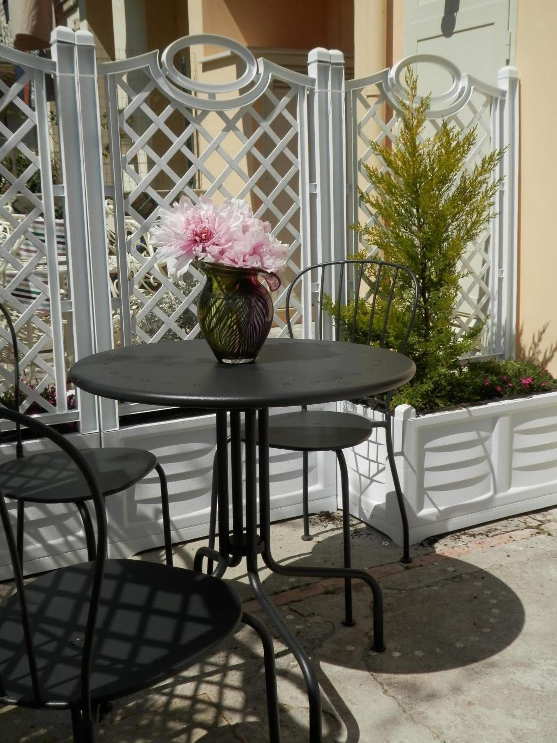 Dreaming Sorrento Suites photo 8