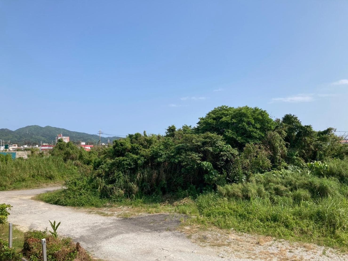 New Normal Hotel in NAGO photo 5