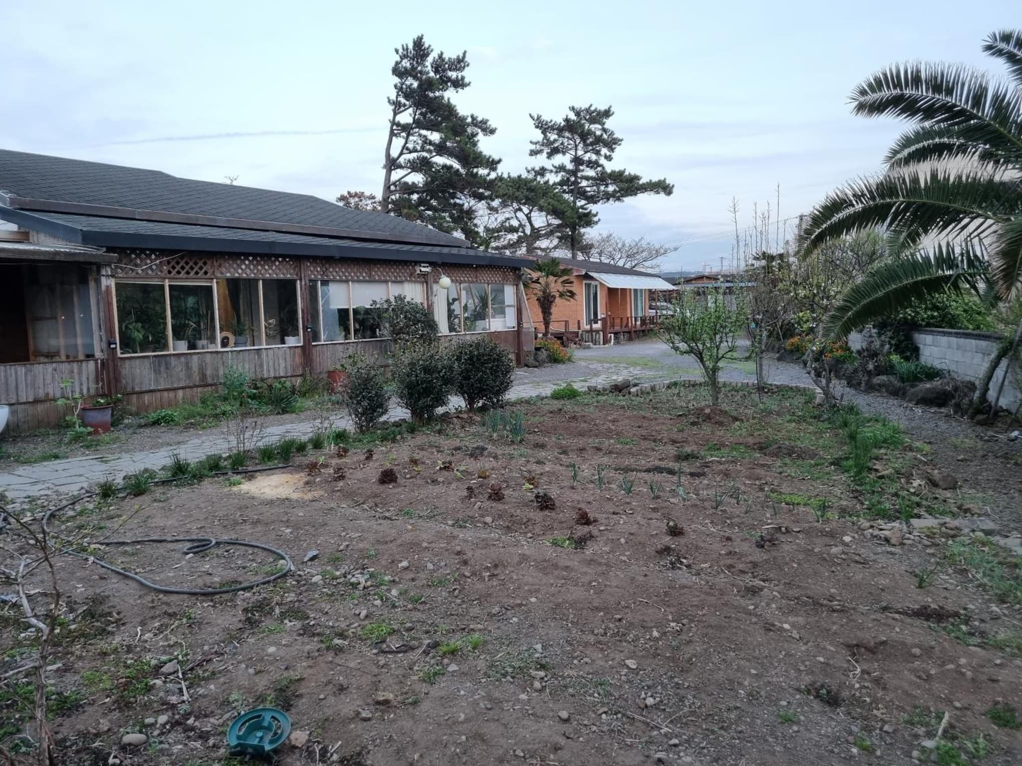 Amy House photo 6