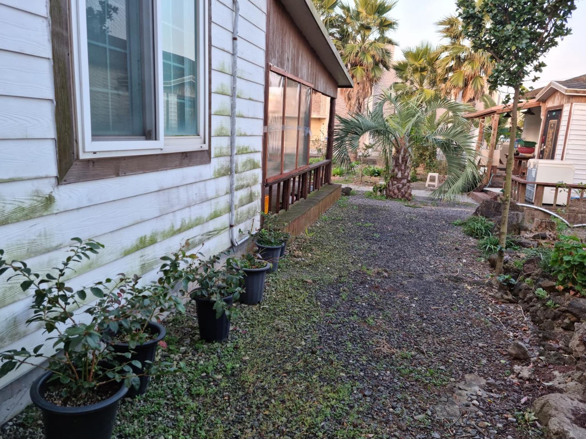 Amy House photo 9