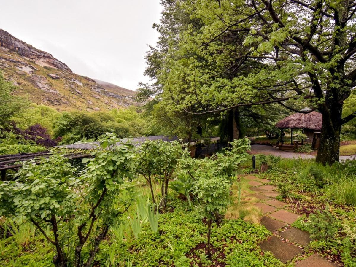 Rooiland Clarens photo 7