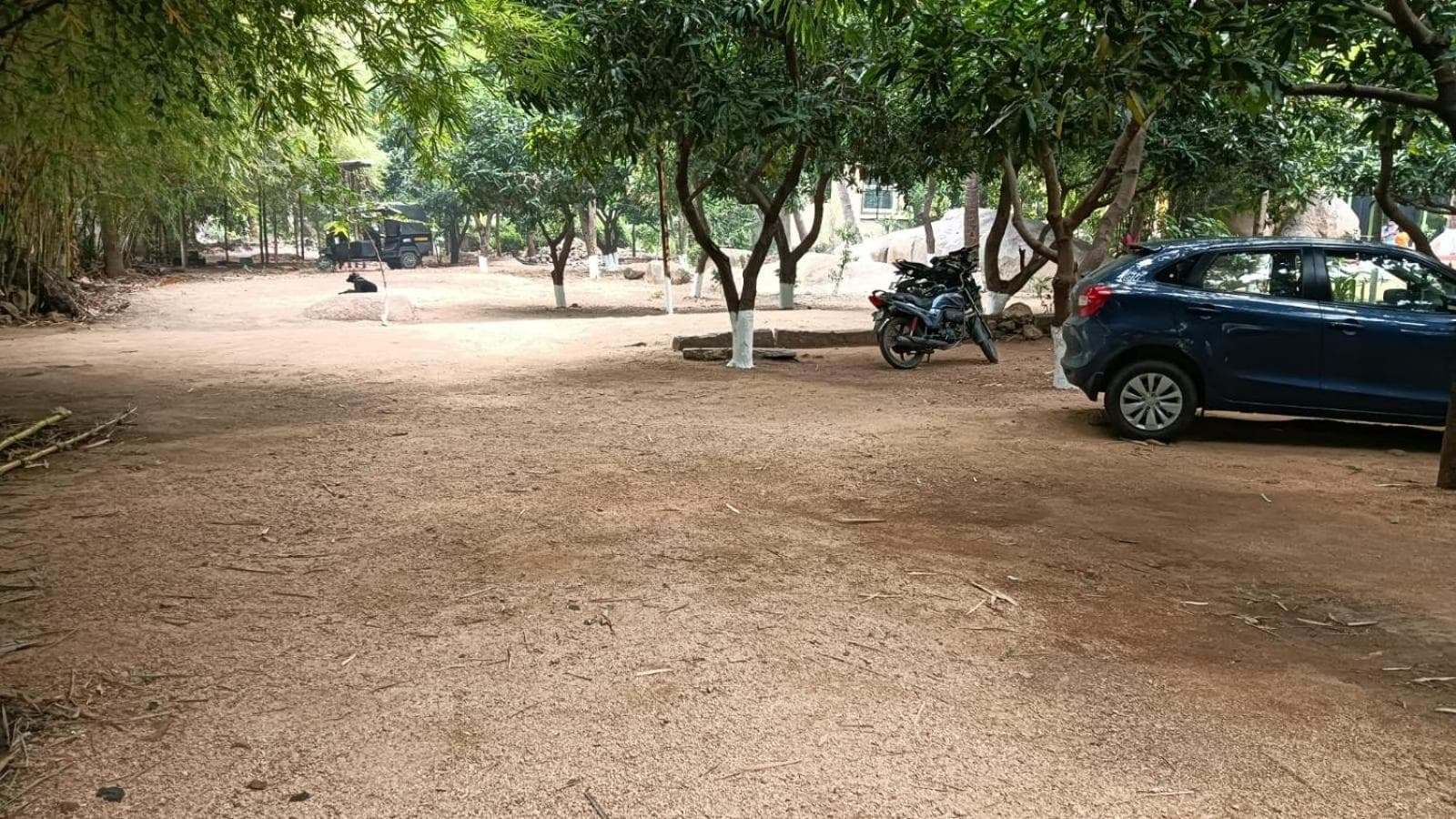 Shankar Homestay photo 8