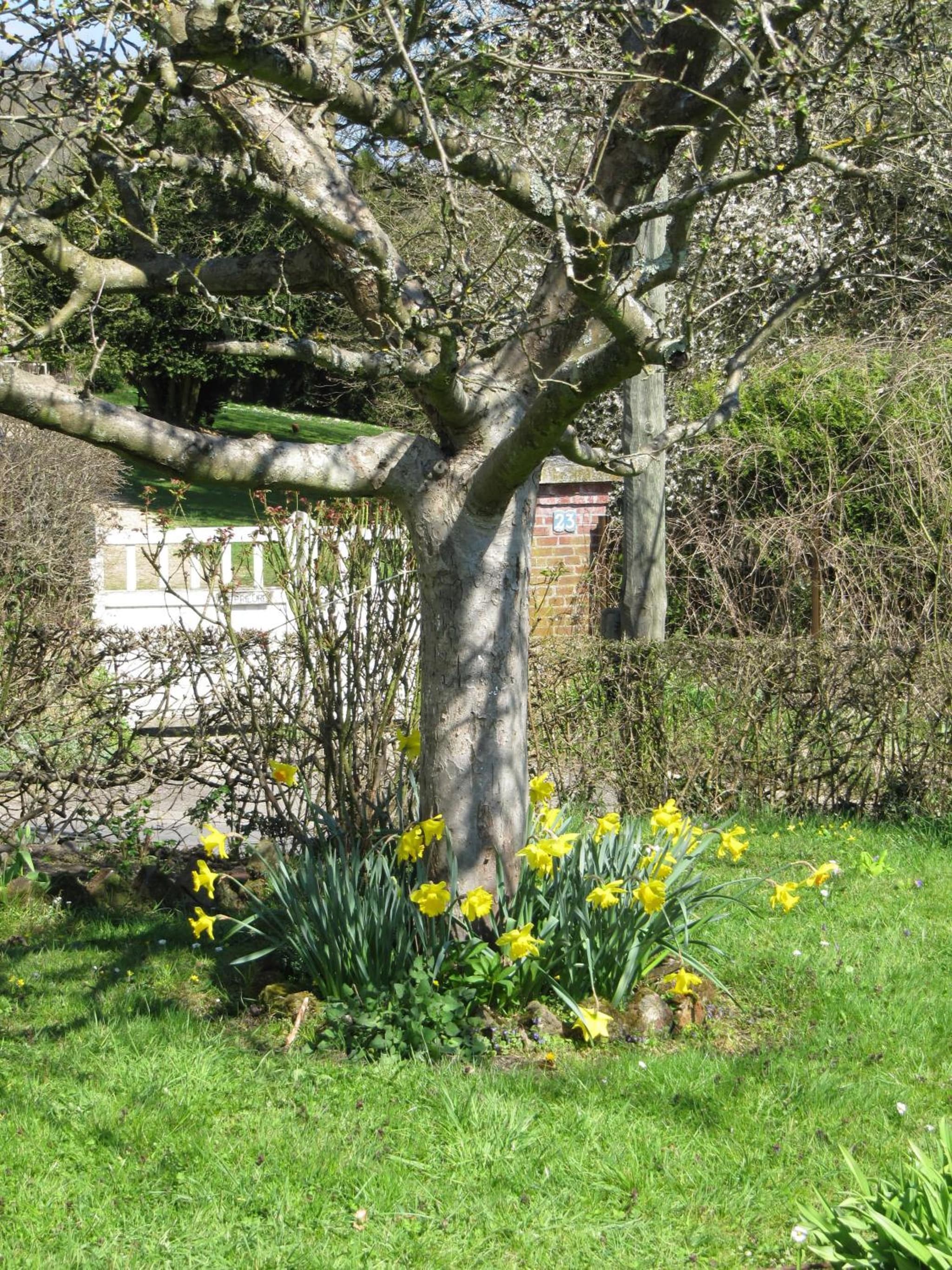 La Roseraie du Prieure photo 2