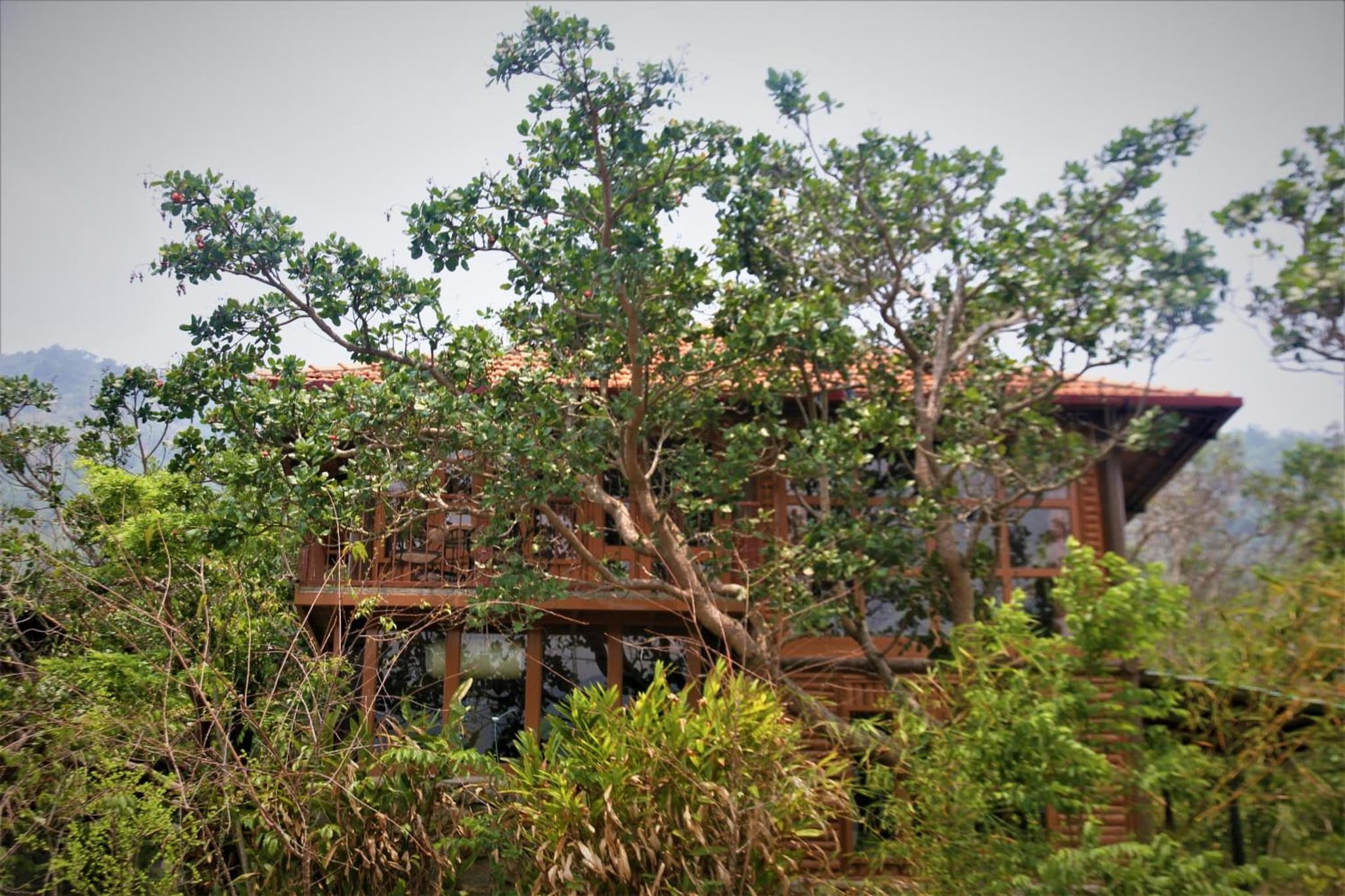 Zen Cafe Countryside Retreat photo 3
