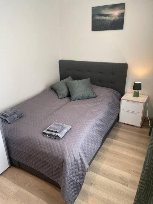 3 rooms apartment in Center photo 3