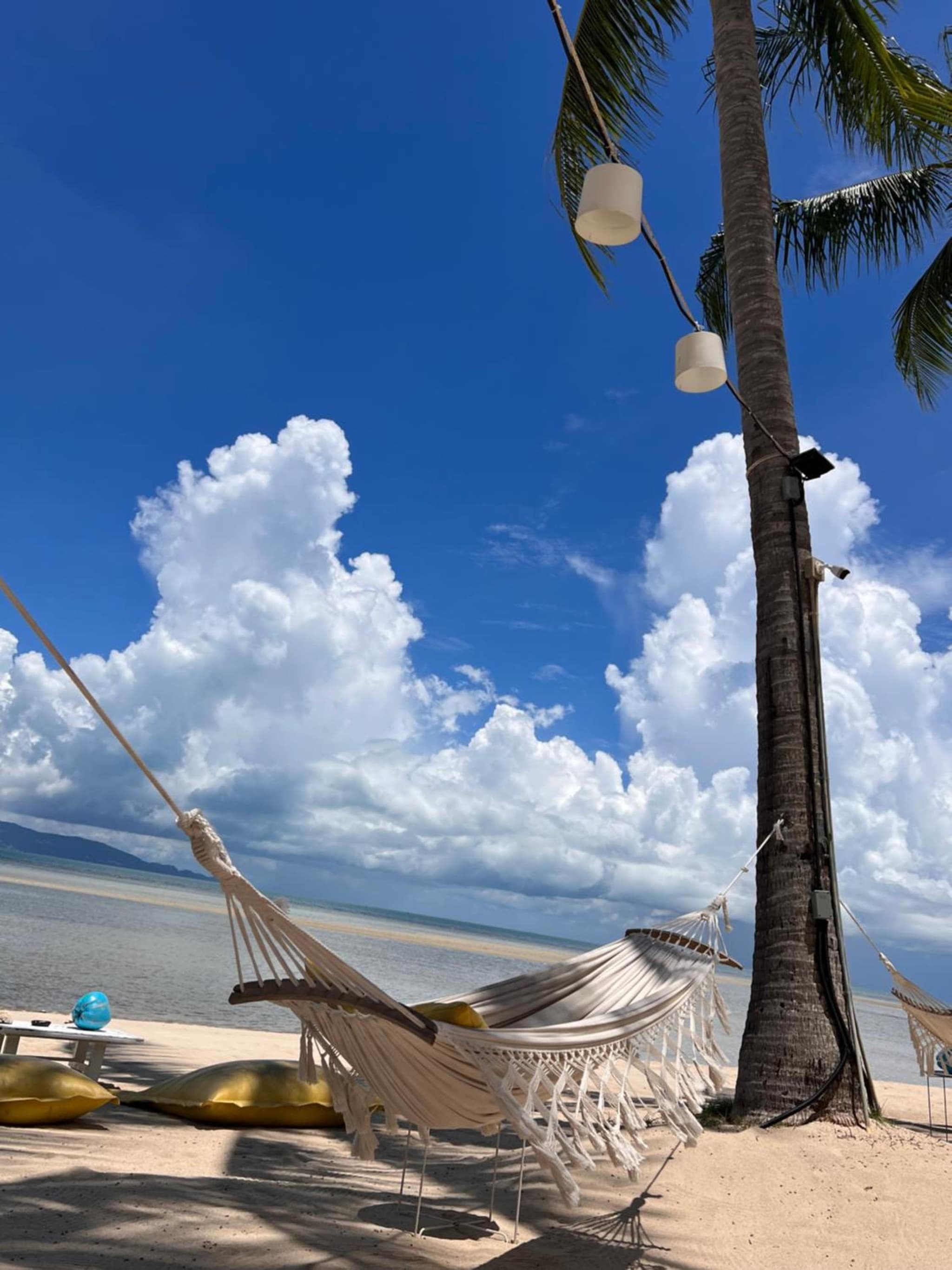 Sea Love Beach Bar & Bungalows photo 6