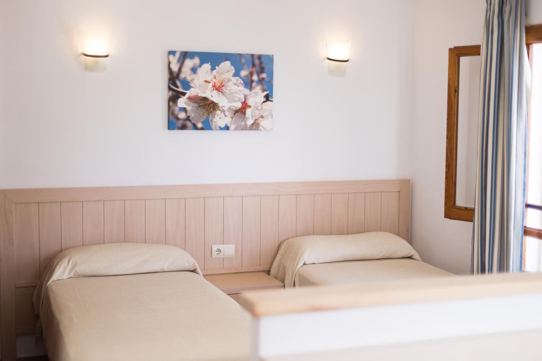 Bossa Bay - MC Apartments Ibiza photo 4