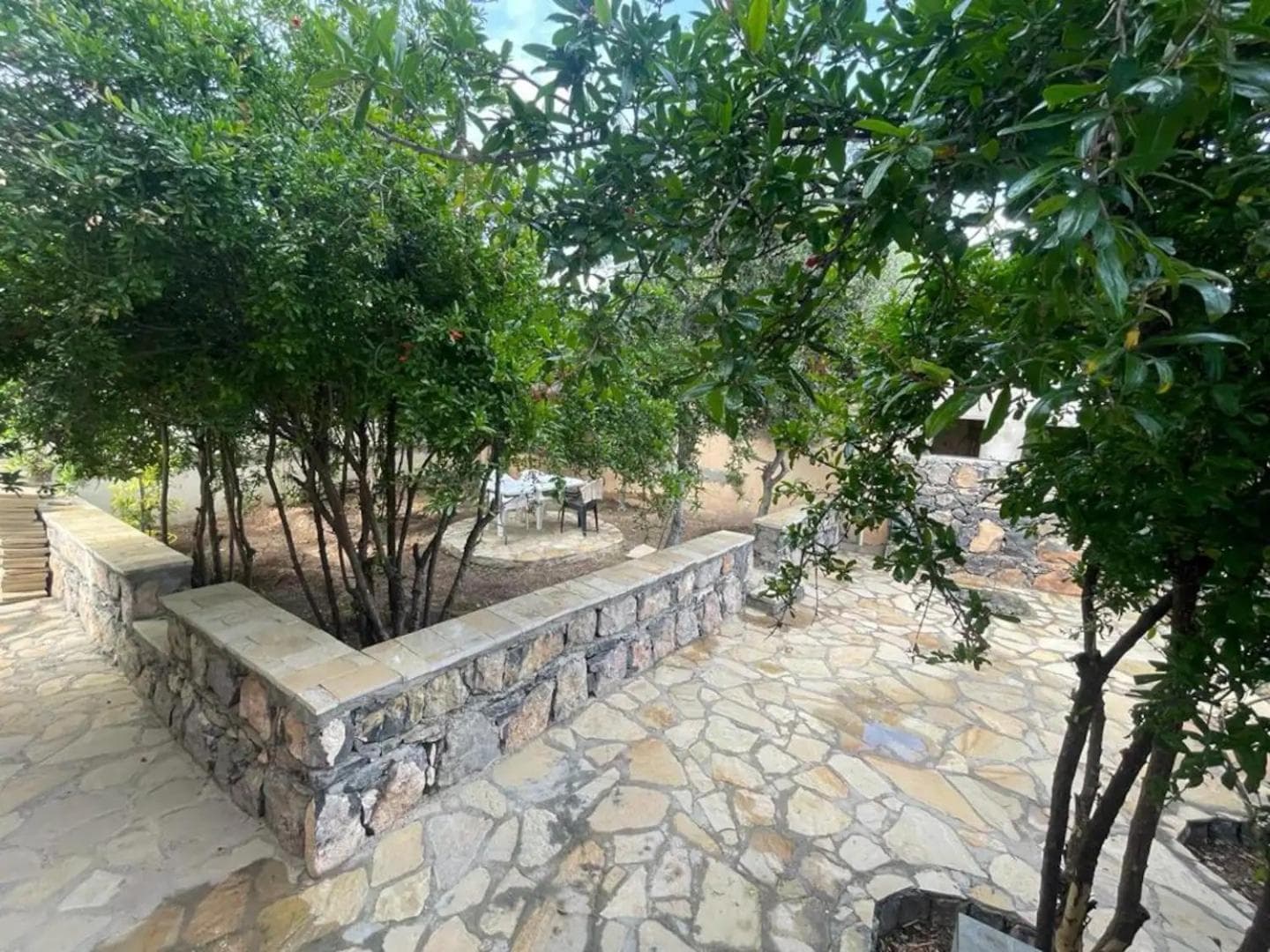 Rose Guesthouse photo 7
