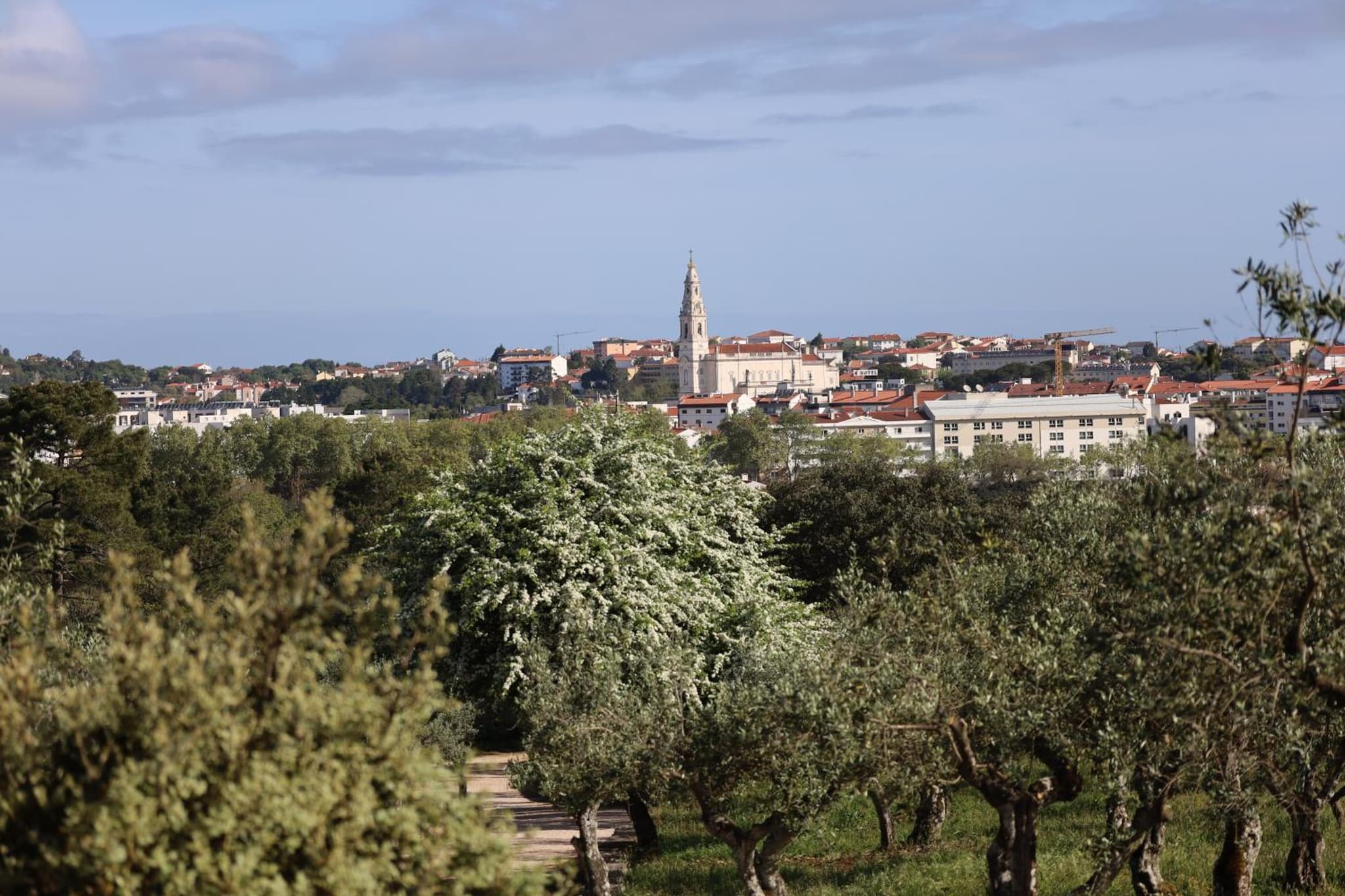 Hotel Dom Goncalo & Spa photo 4