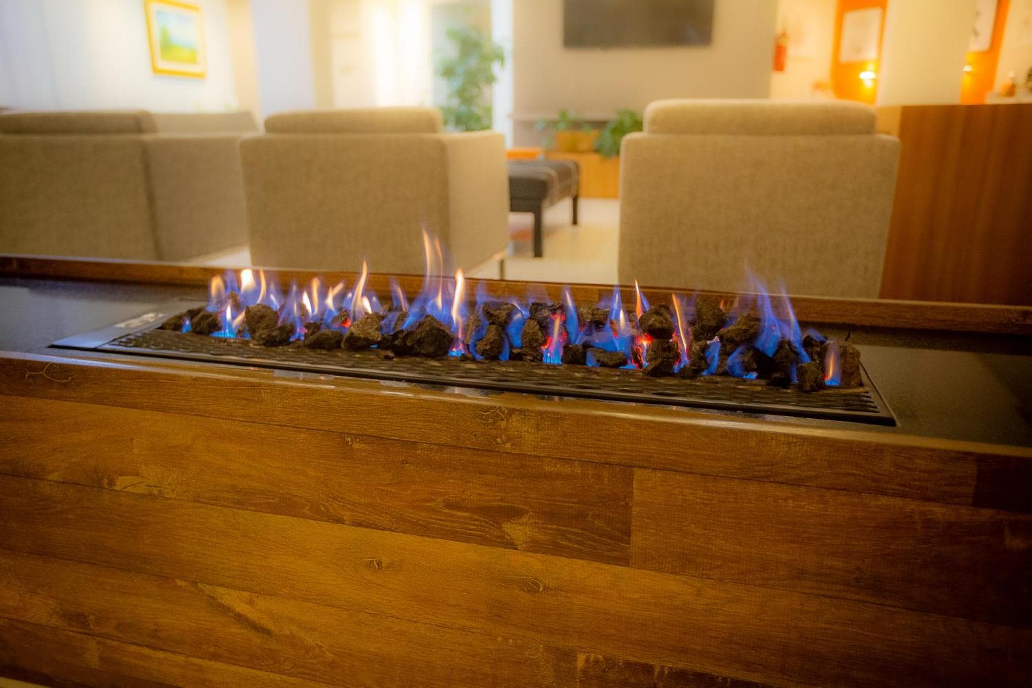 Zago Hotel photo 9