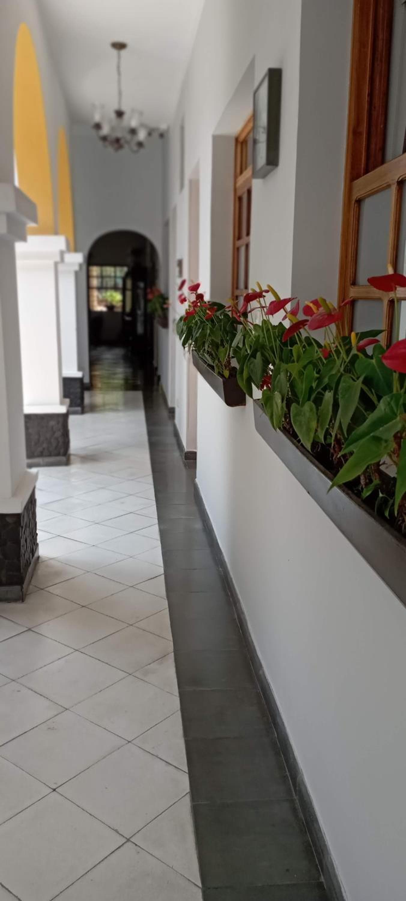 Hotel Don Alfonso photo 6