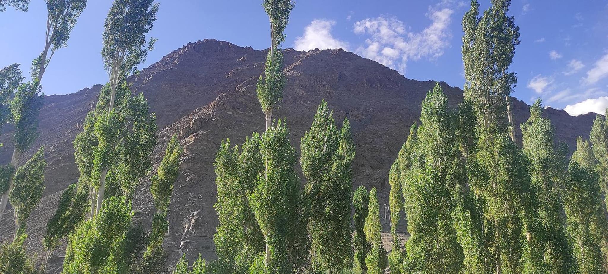 Norbooling HomeStay, Leh Ladakh photo 4