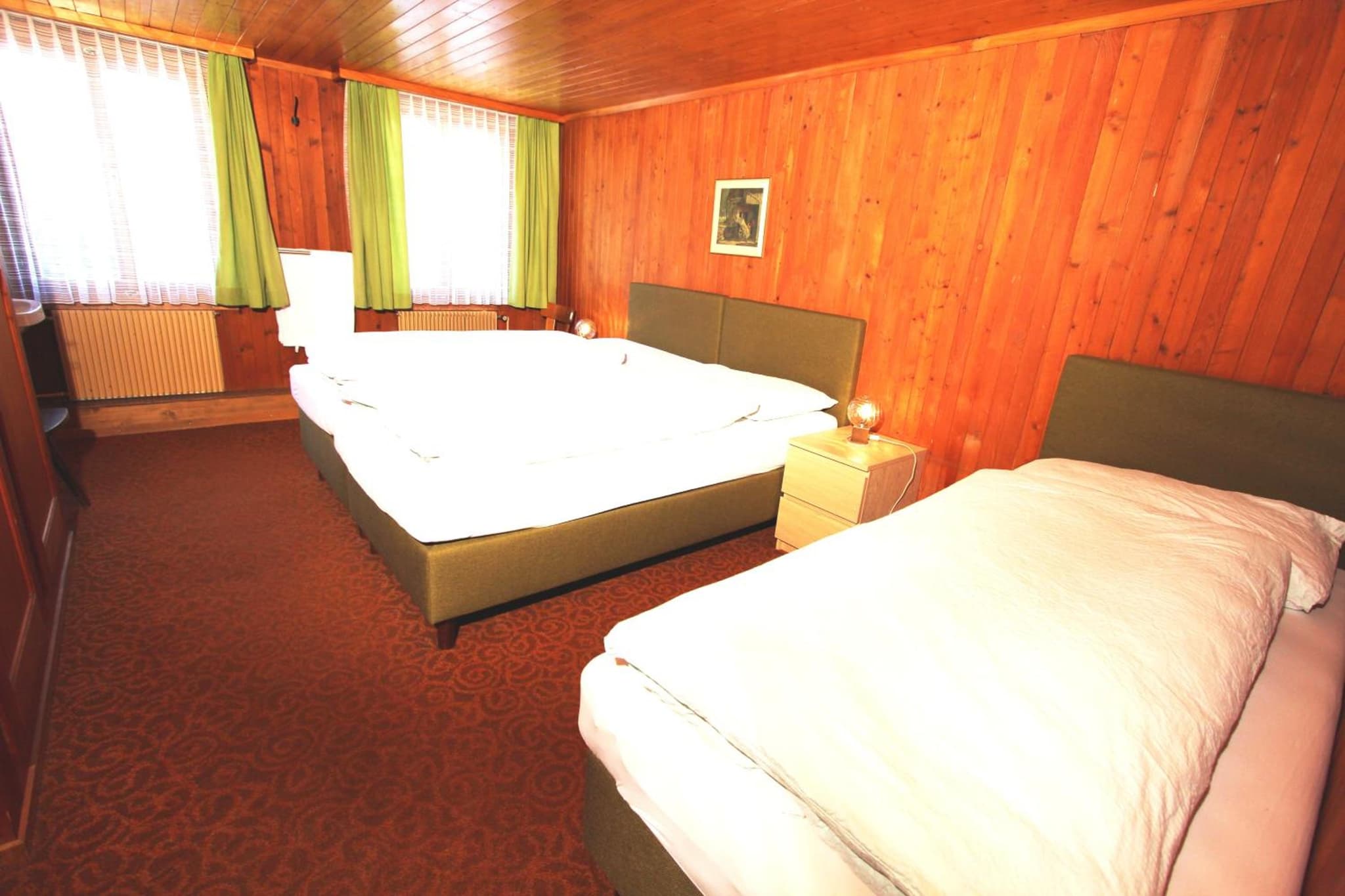 Hotel-Restaurant Alpina photo 4