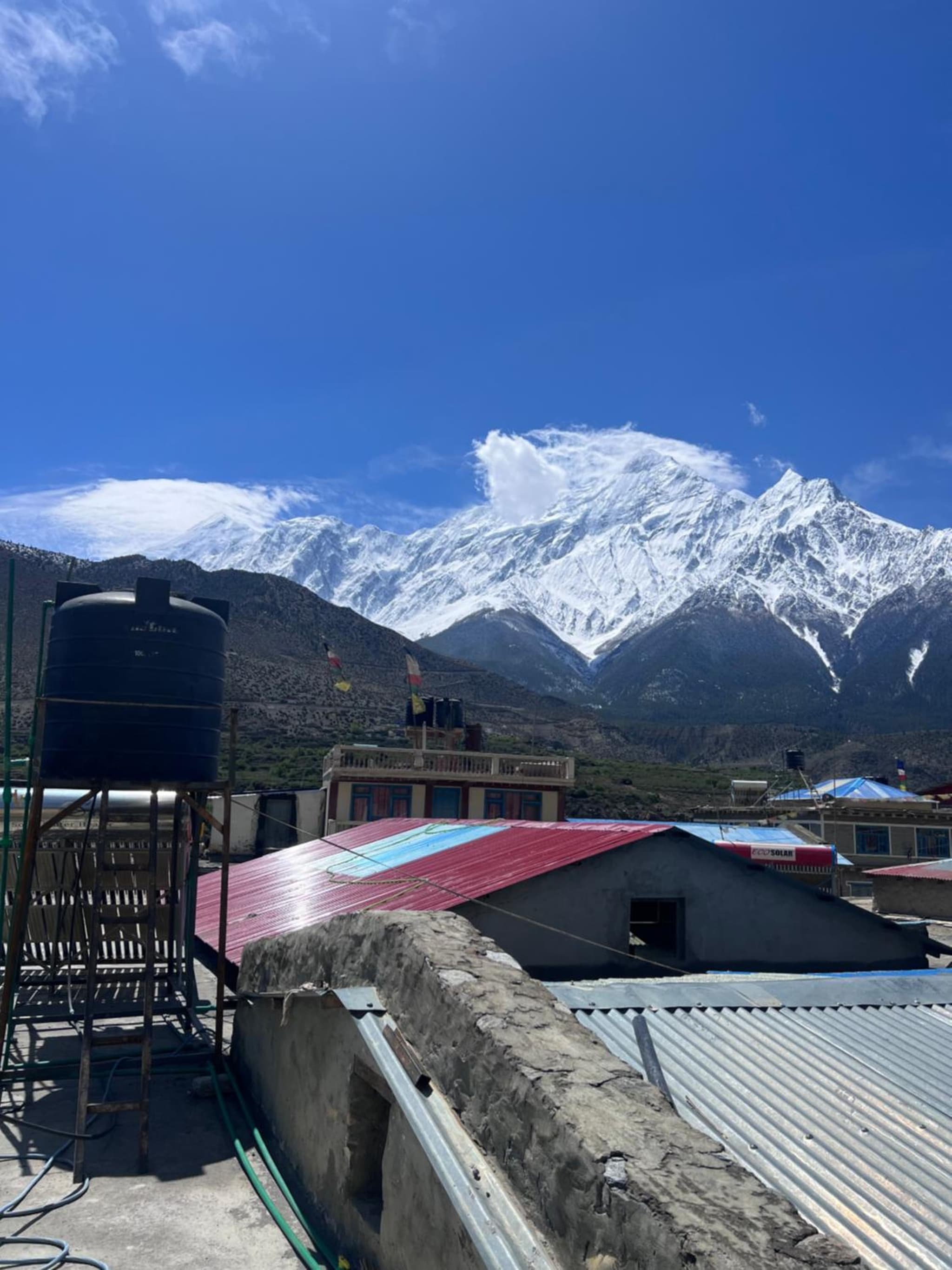 Hotel Dancing Yak photo 6
