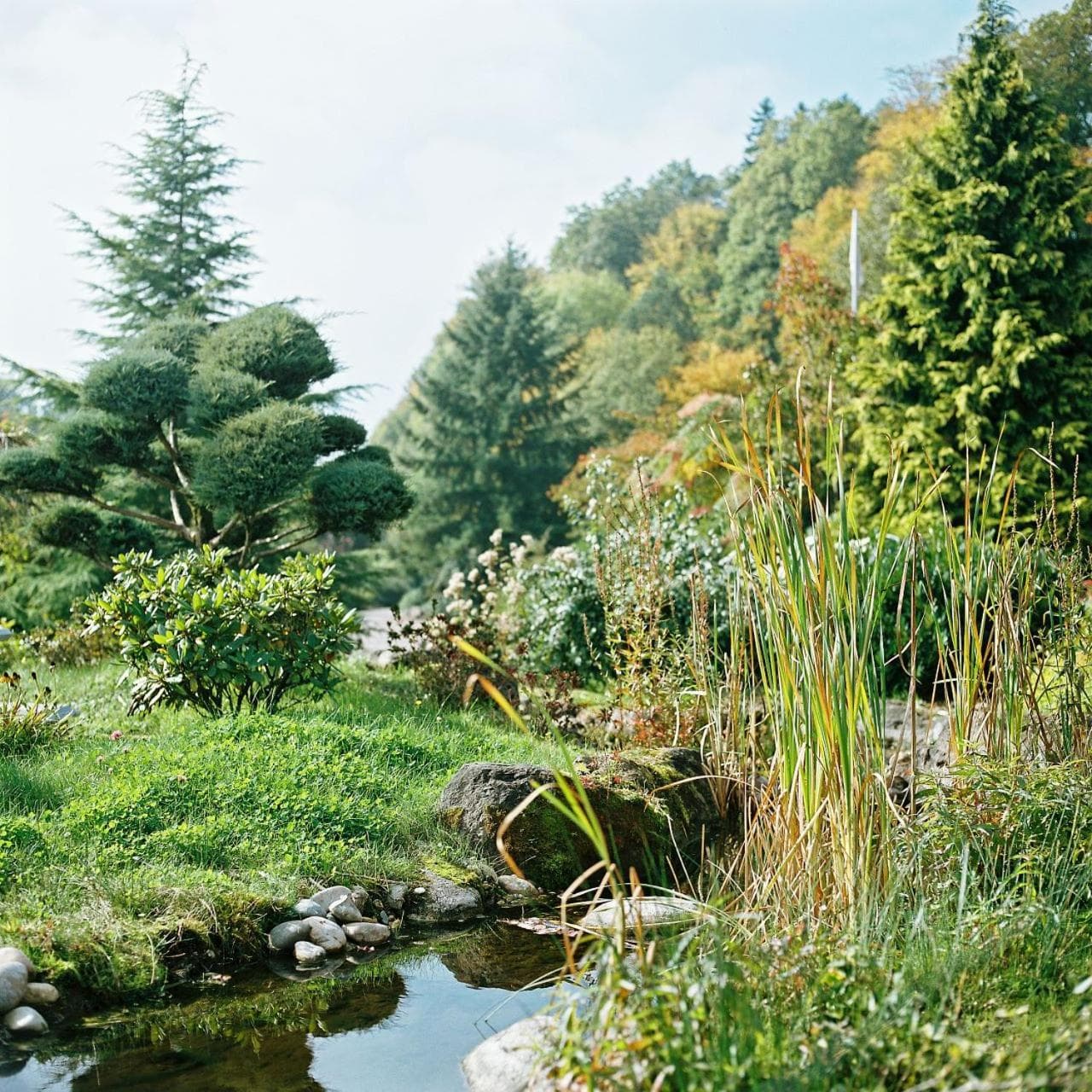 La Clairière bio & spahotel photo 2