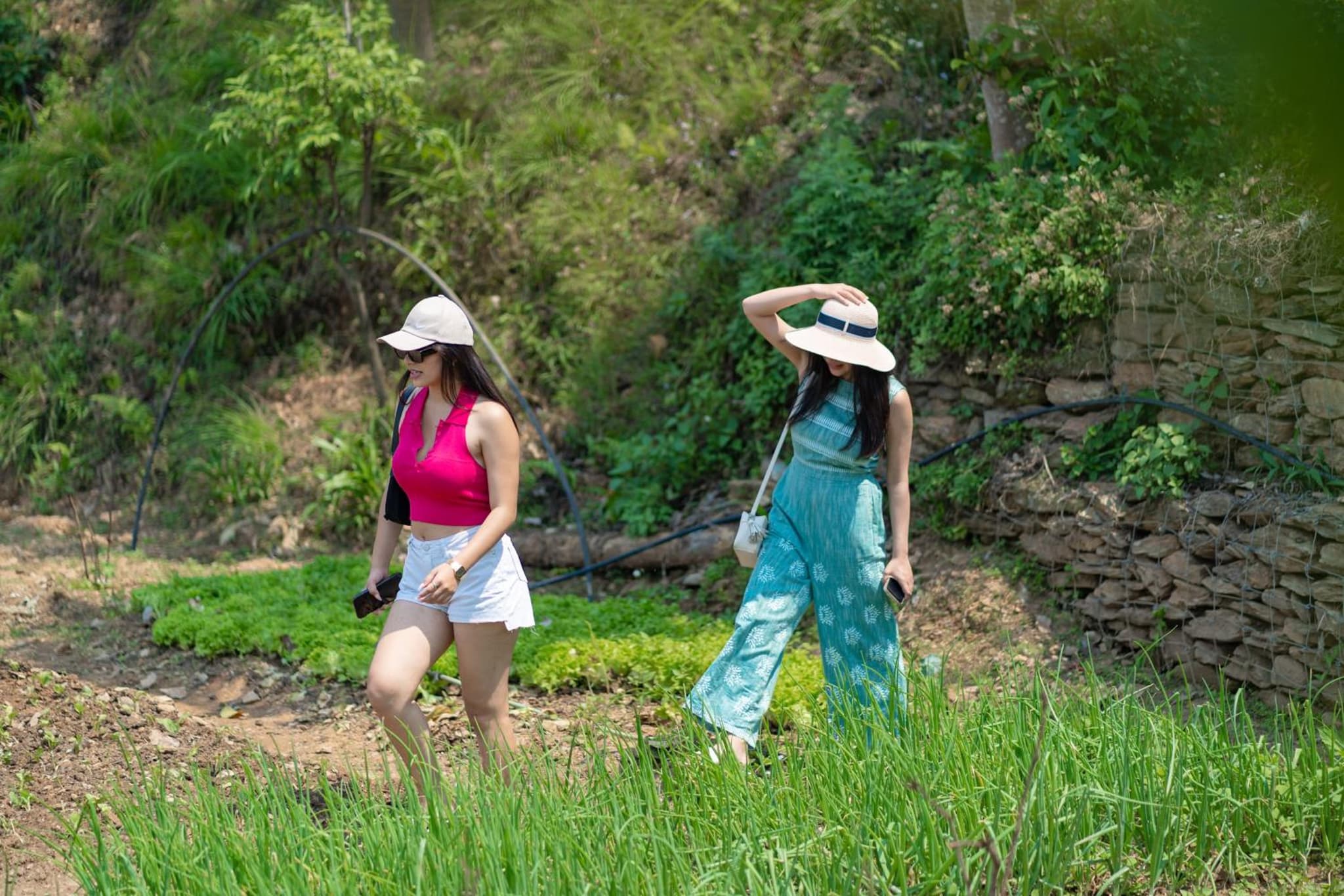 Rupakot Resort photo 4