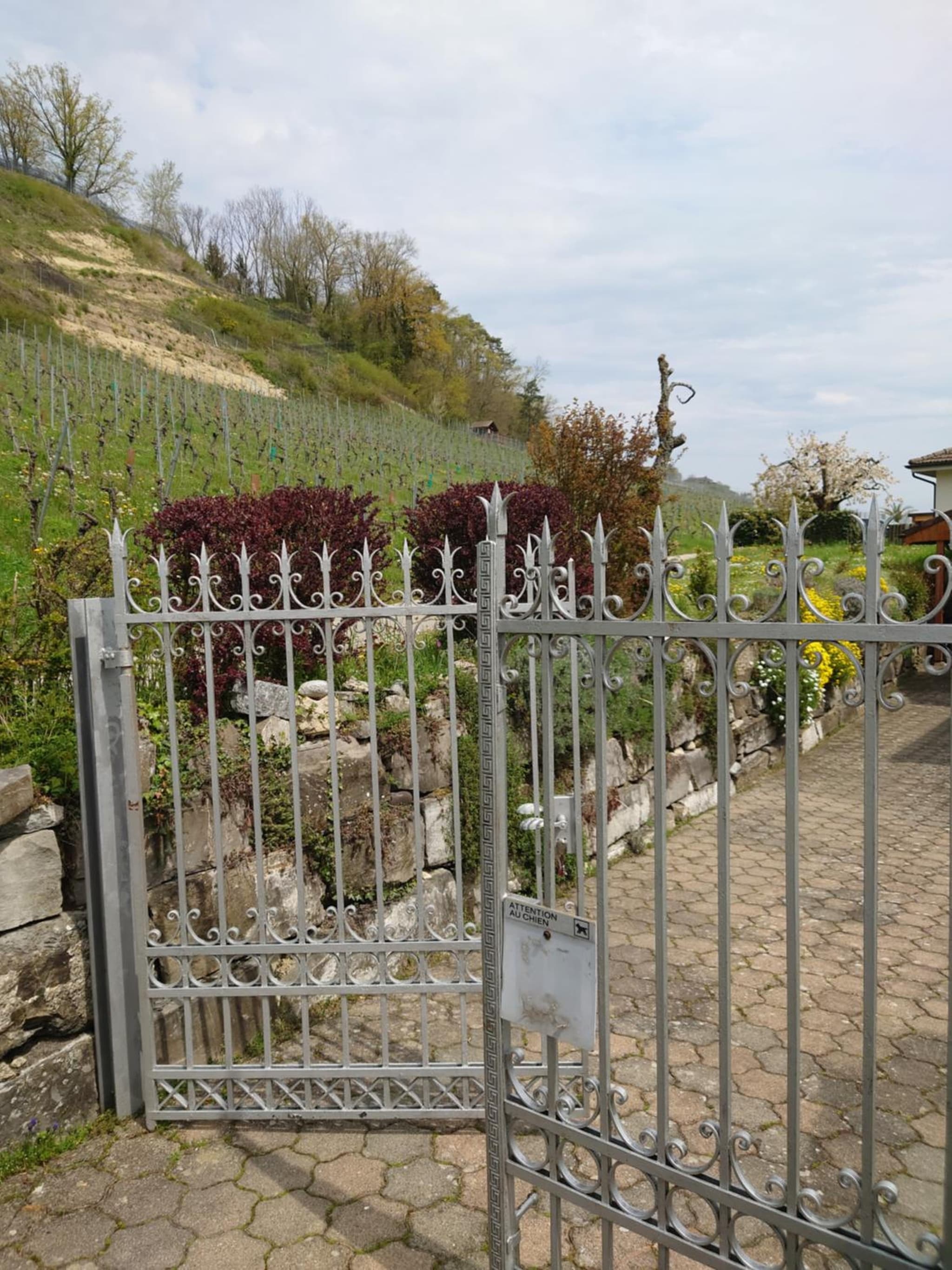Maison Champperbou photo 7