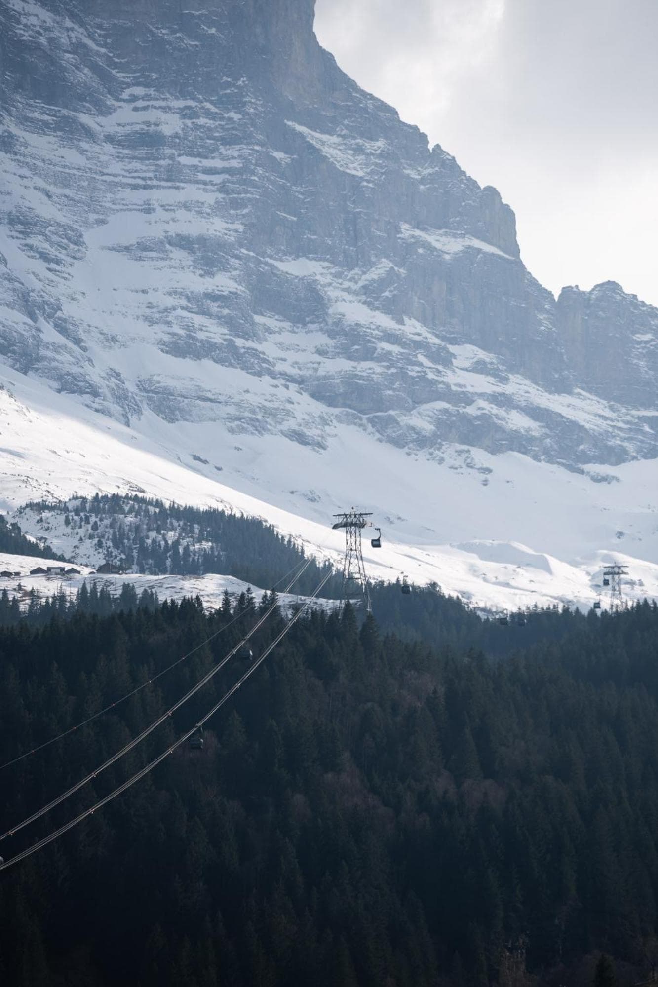 The Eiger Express Apartment - GRINDELHOMES photo 2
