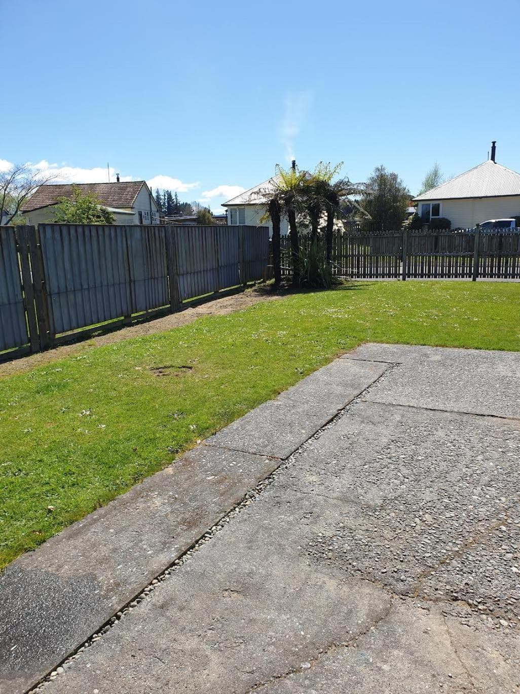 Kiwiana Gem photo 6