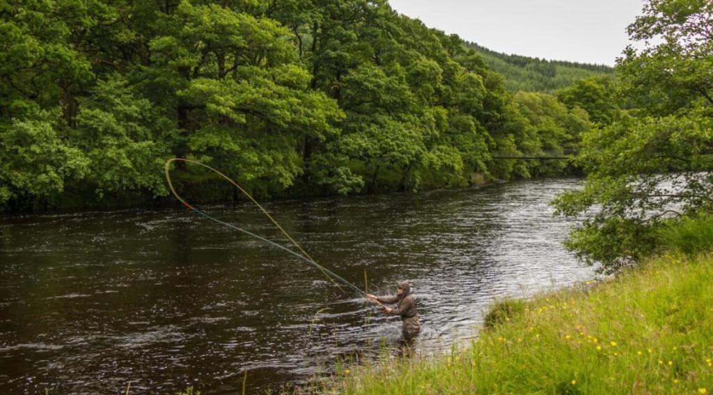 Conon Hotel photo 6