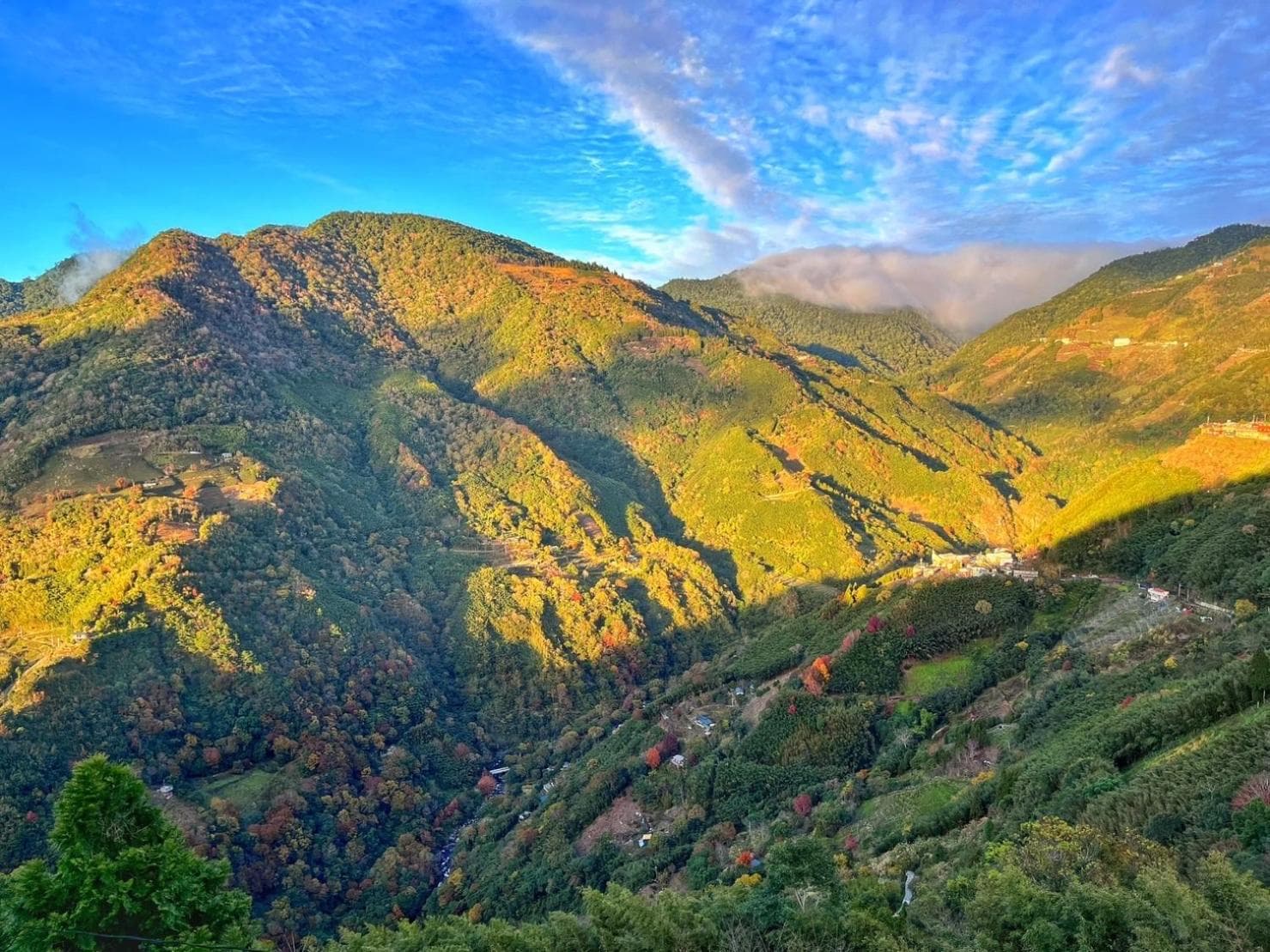 Gegbyan photo 6