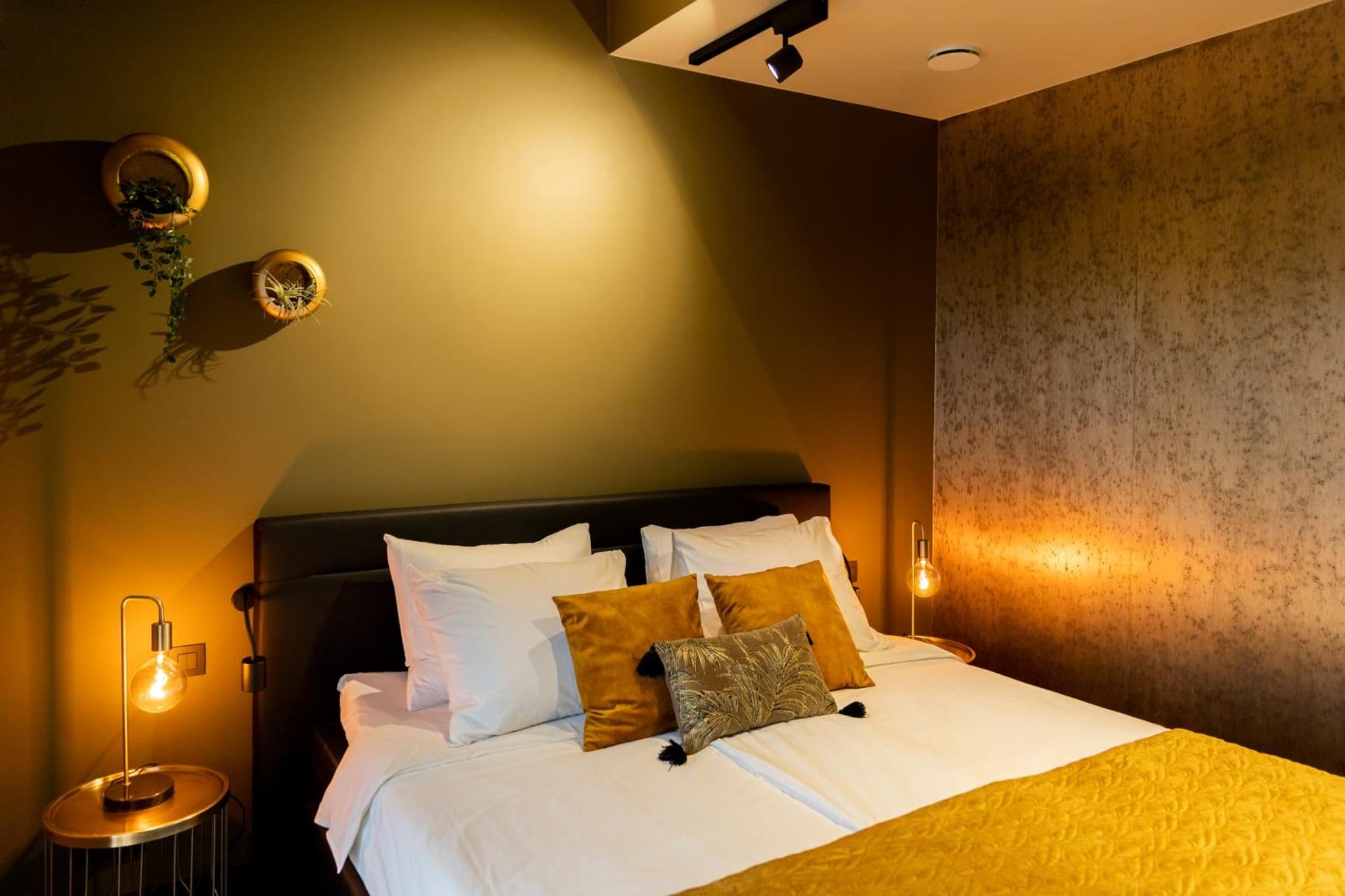 Bed en breakfast Suite 8 photo 5