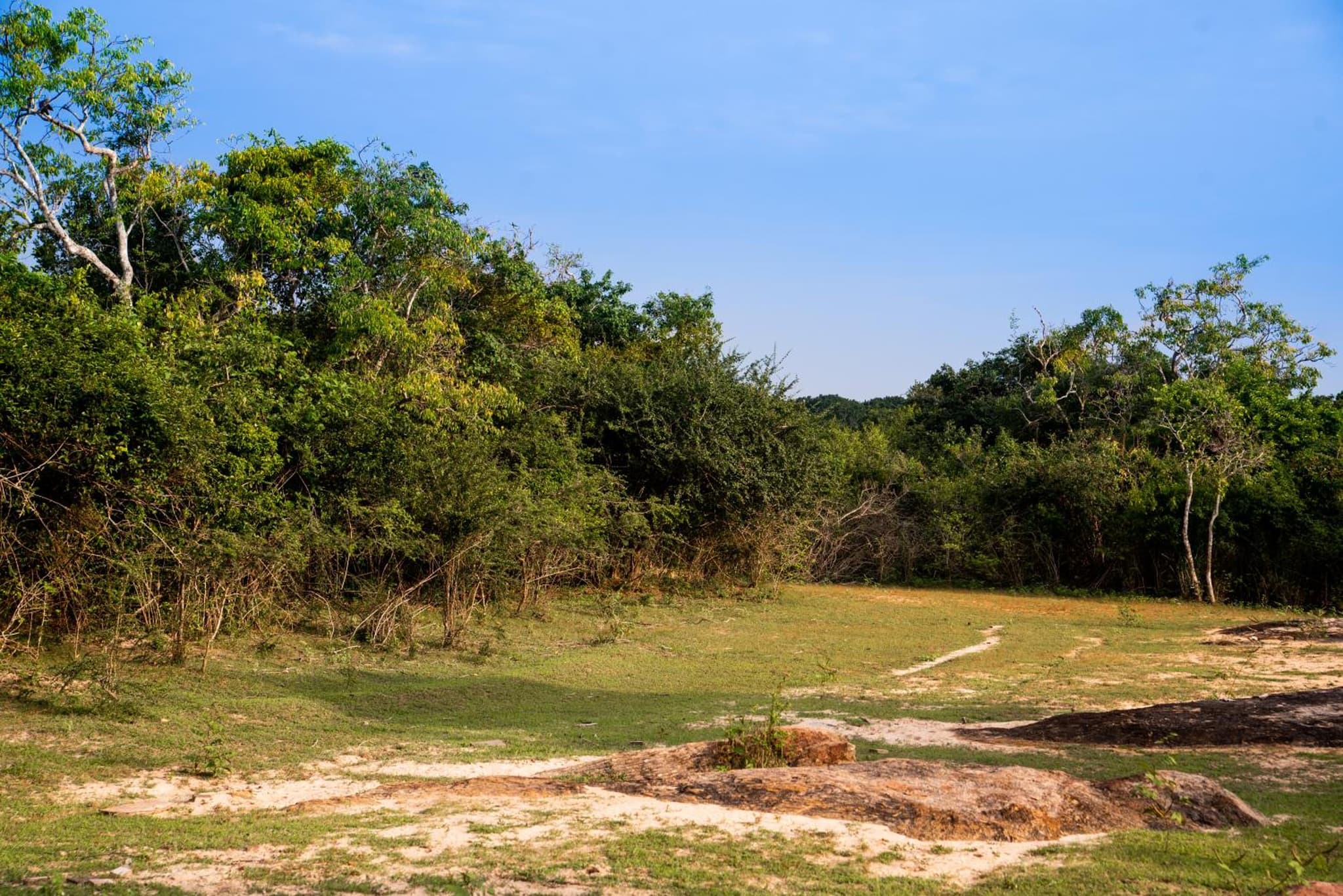 Wild Trails Yala by Suri photo 8