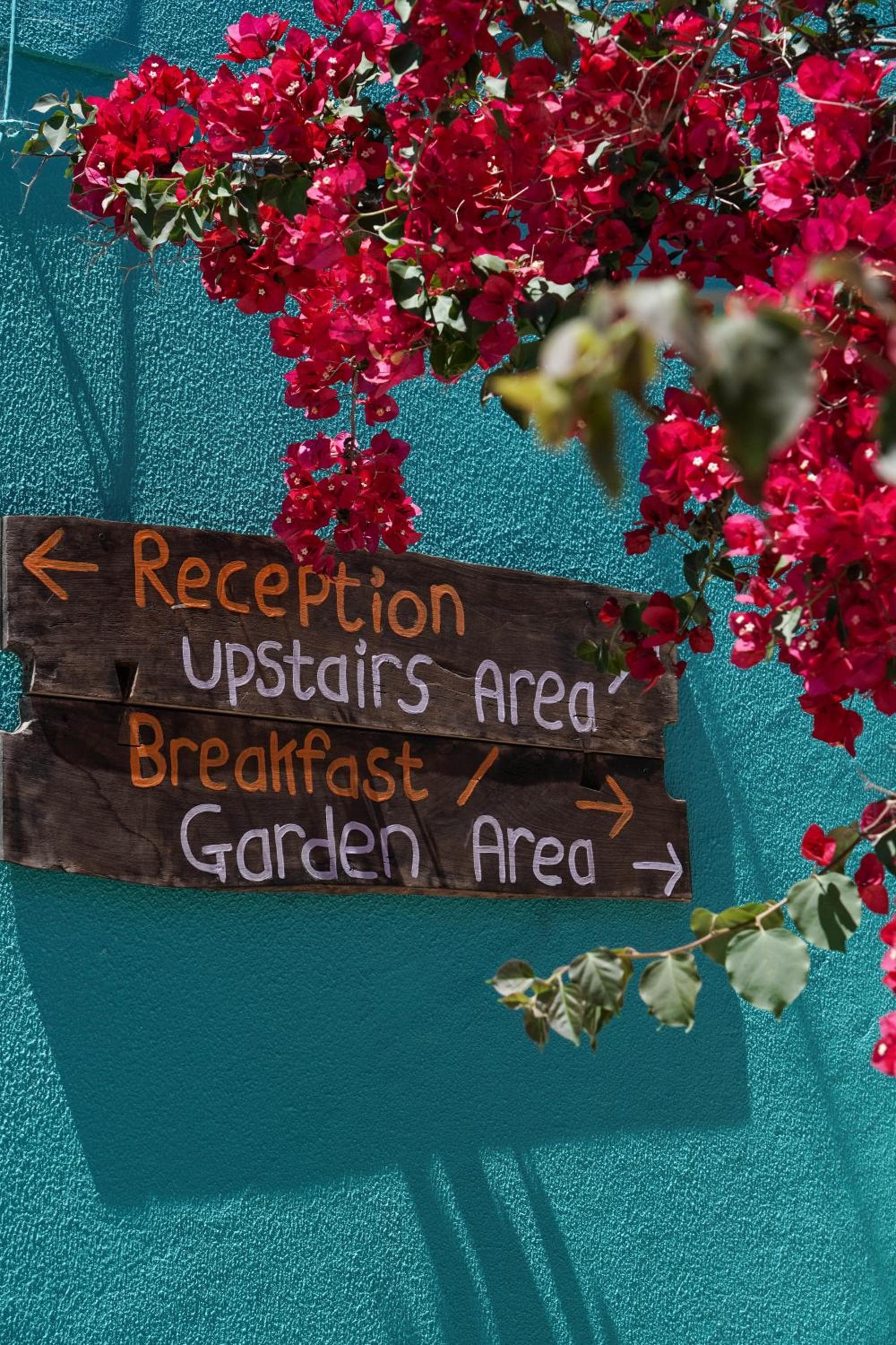 Natural Mystic Hostel photo 6